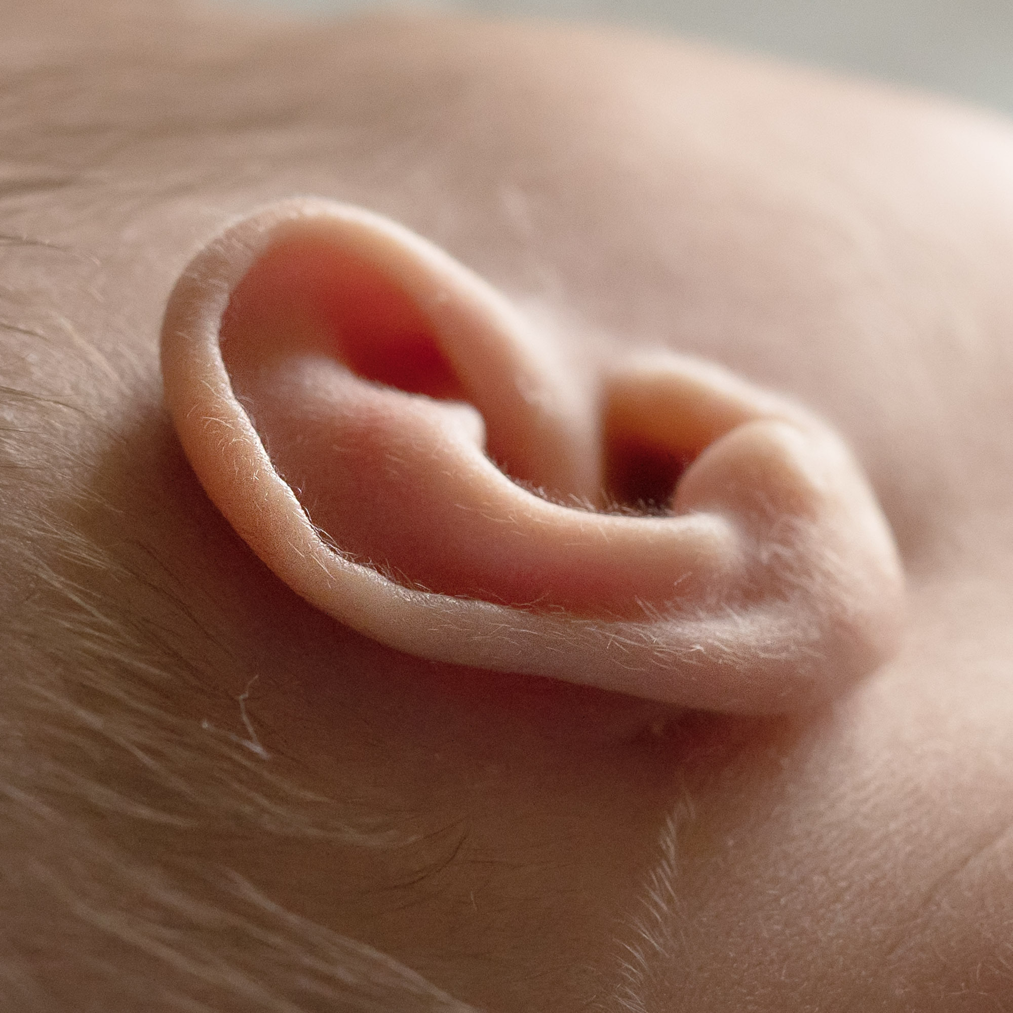 Svetlana. Photographer Irina Kozhemyakina. Houston