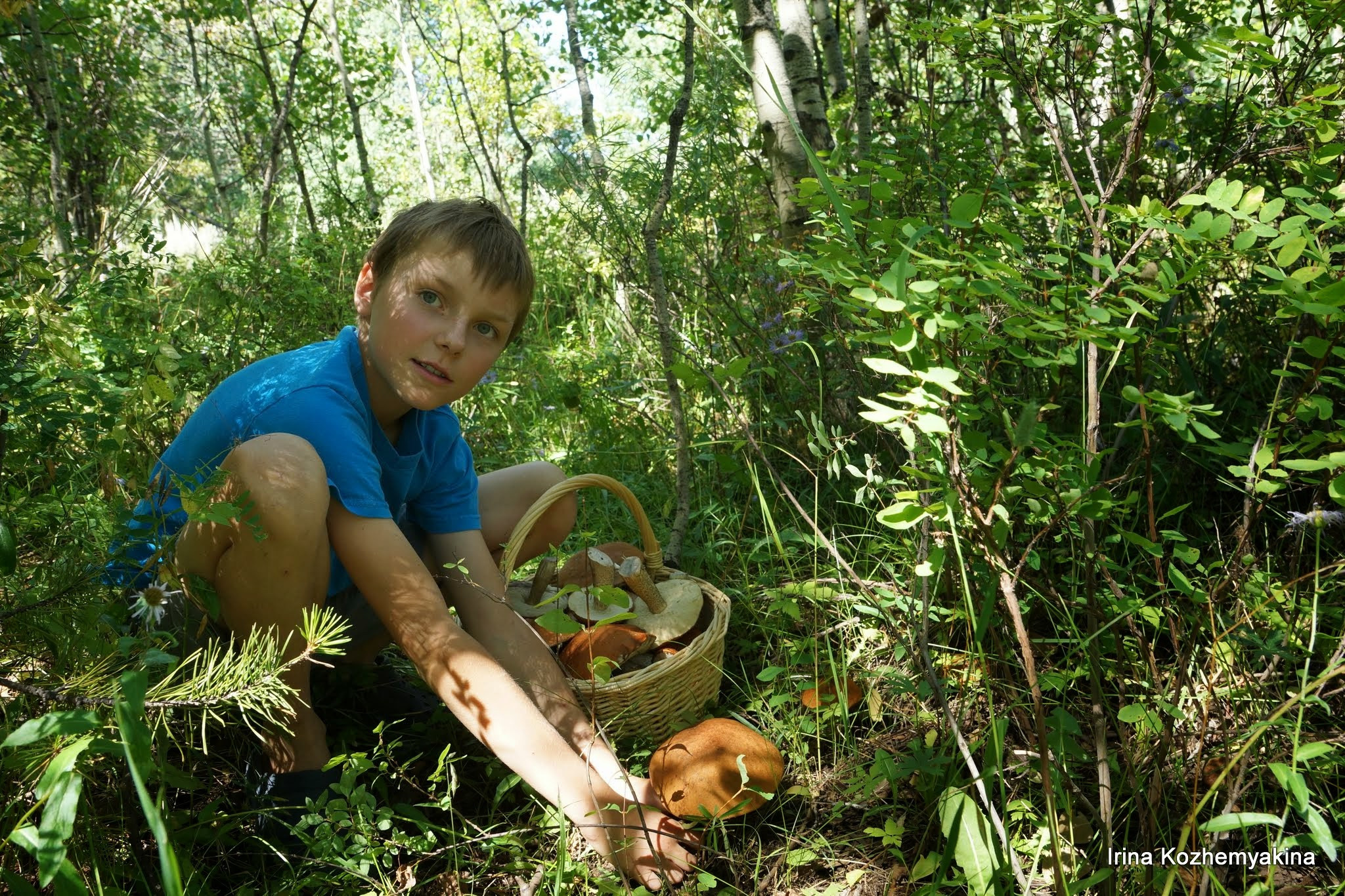 2014-08-10, Mushrooms. Photographer Irina Kozhemyakina. Houston