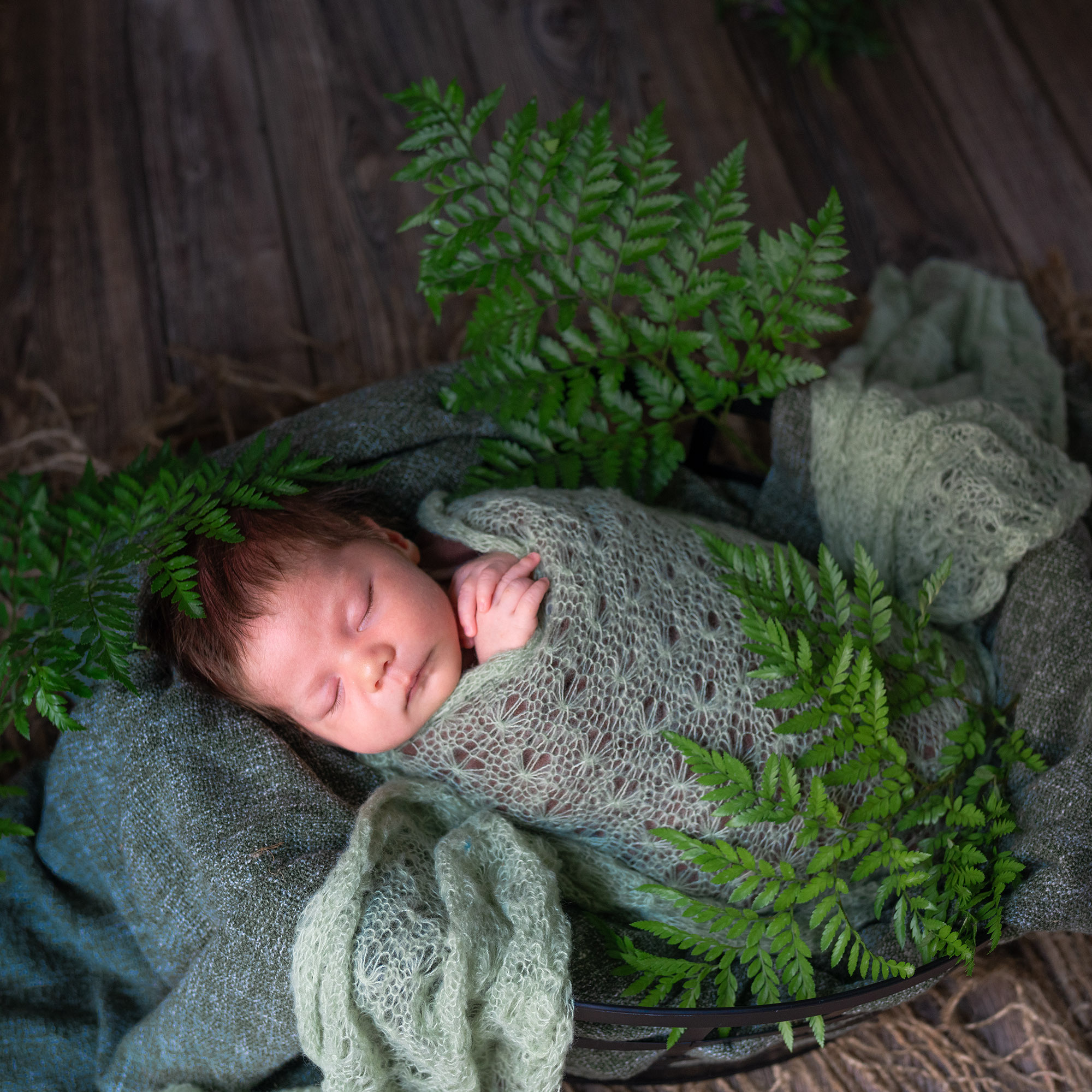 Olly. Photographer Irina Kozhemyakina. Houston