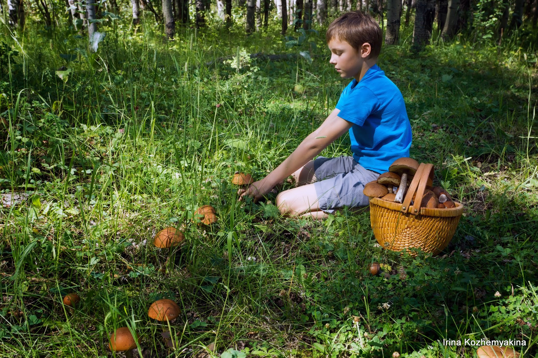 2014-08-10, Mushrooms. Photographer Irina Kozhemyakina. Houston
