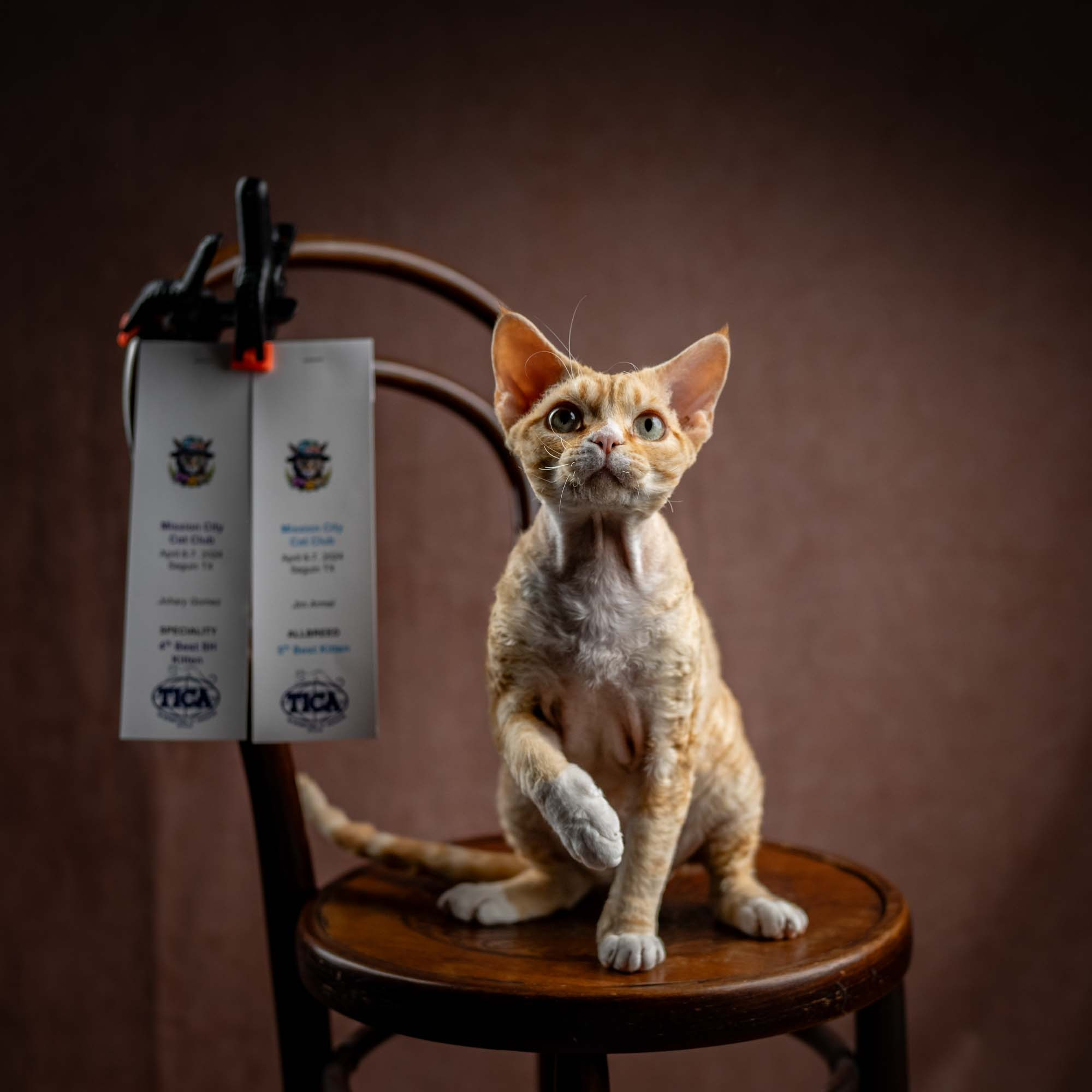 Choux. Photographer Irina Kozhemyakina. Houston