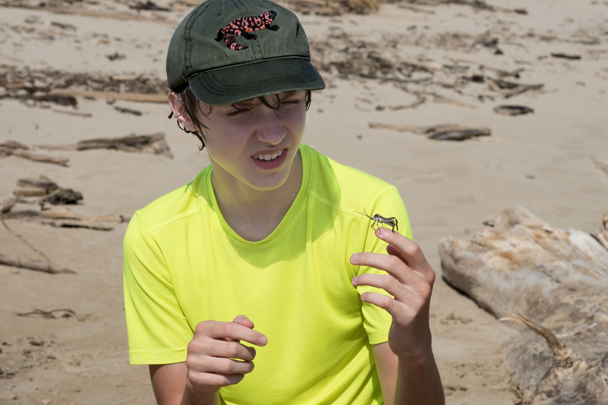 На пляже нас замучили мухи жигалки и вот к Тёме все время прилетал вот такой клоп. Меня мучают воспоминания, что я где-то читала о нехороших таких клопах, что они кусают людей и какой-то яд или болячки заносят. Но вспомнить не могу, а этот ничего плохого не сделал, но я посоветовала на всякий случай послать его подальше