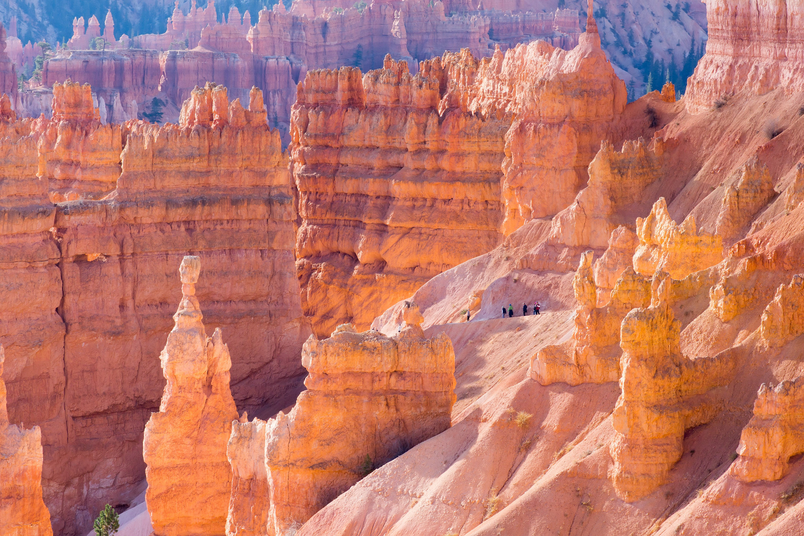 The landscapes. Photographer Irina Kozhemyakina. Houston