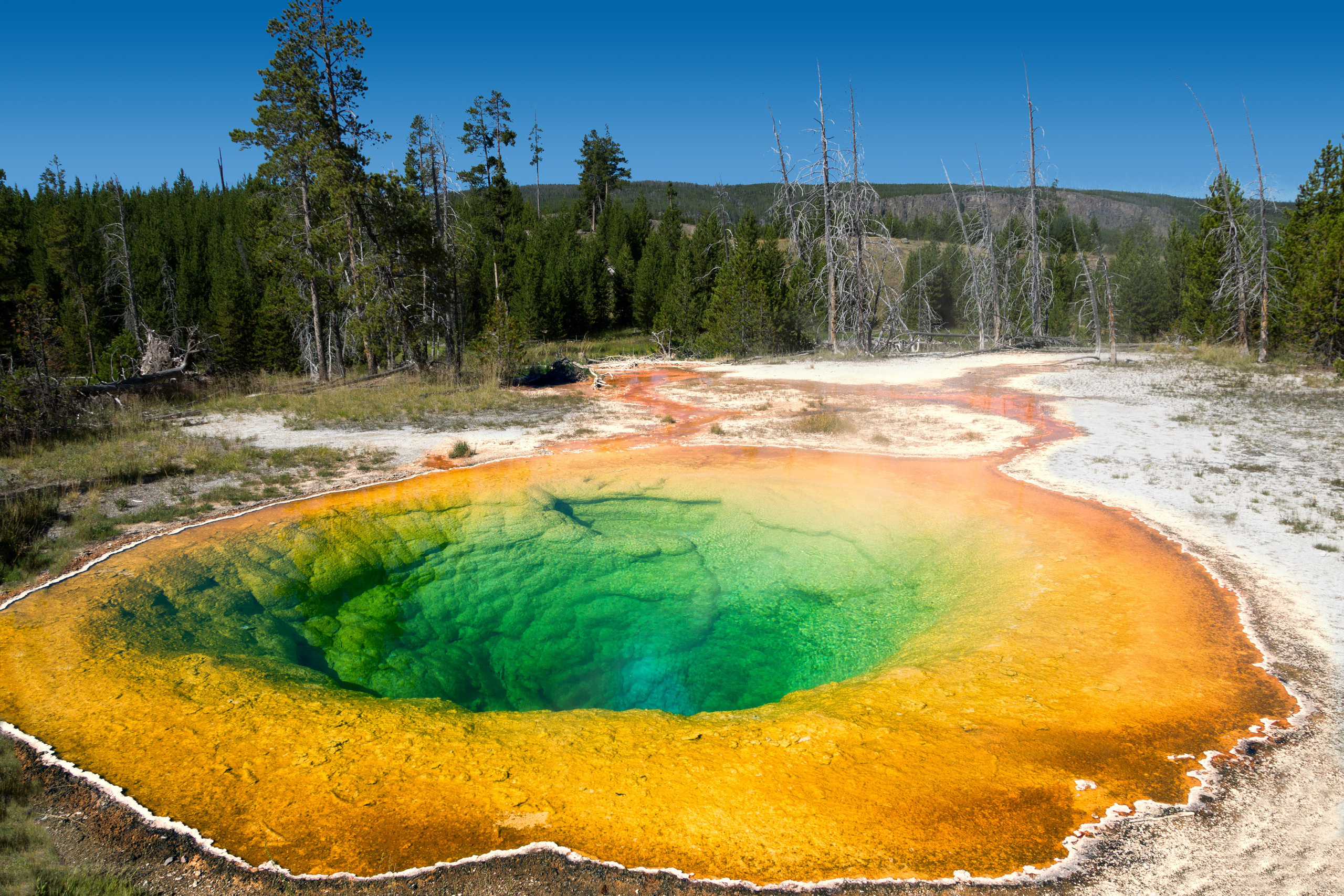 The landscapes. Photographer Irina Kozhemyakina. Houston