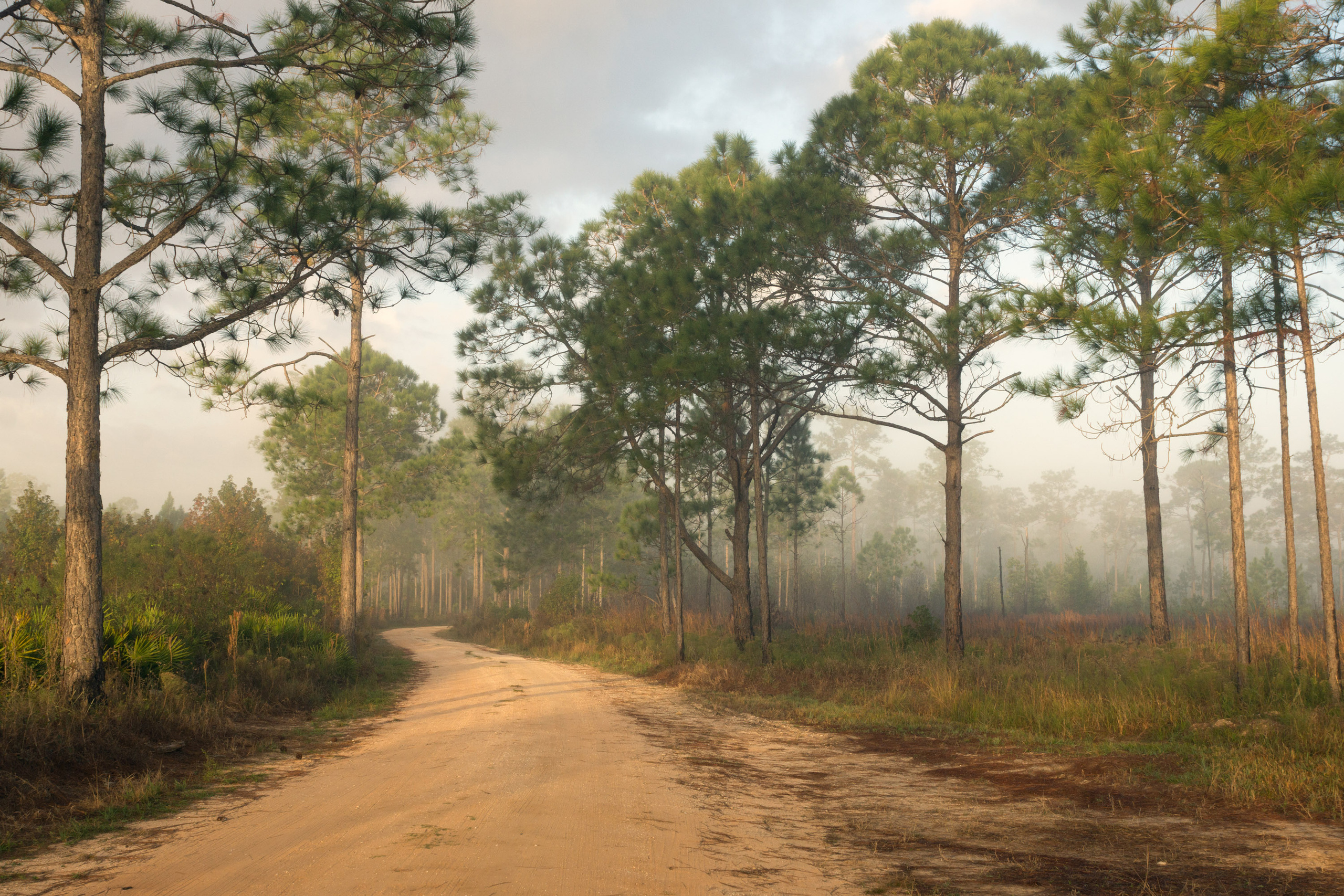 The landscapes. Photographer Irina Kozhemyakina. Houston