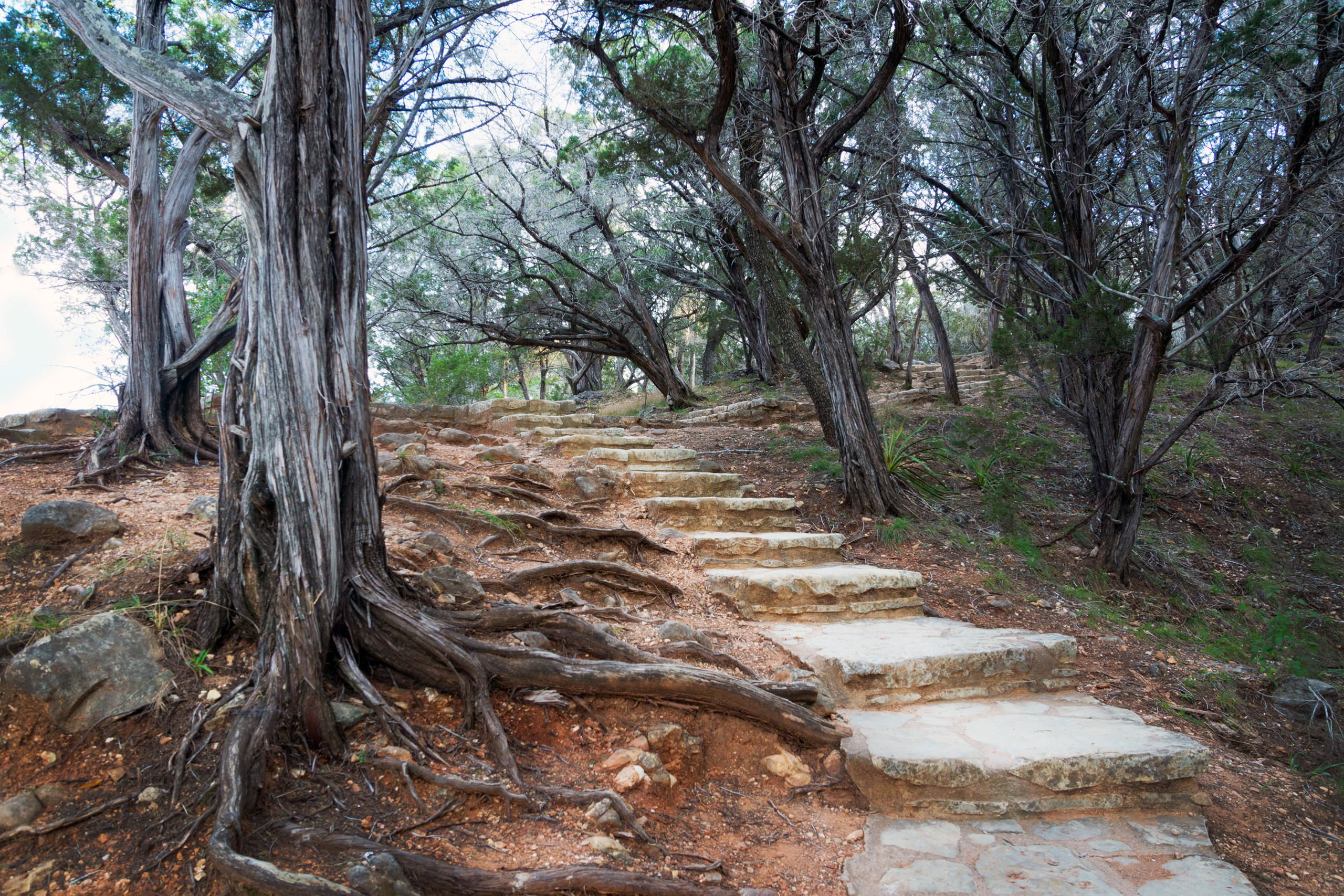 The landscapes. Photographer Irina Kozhemyakina. Houston