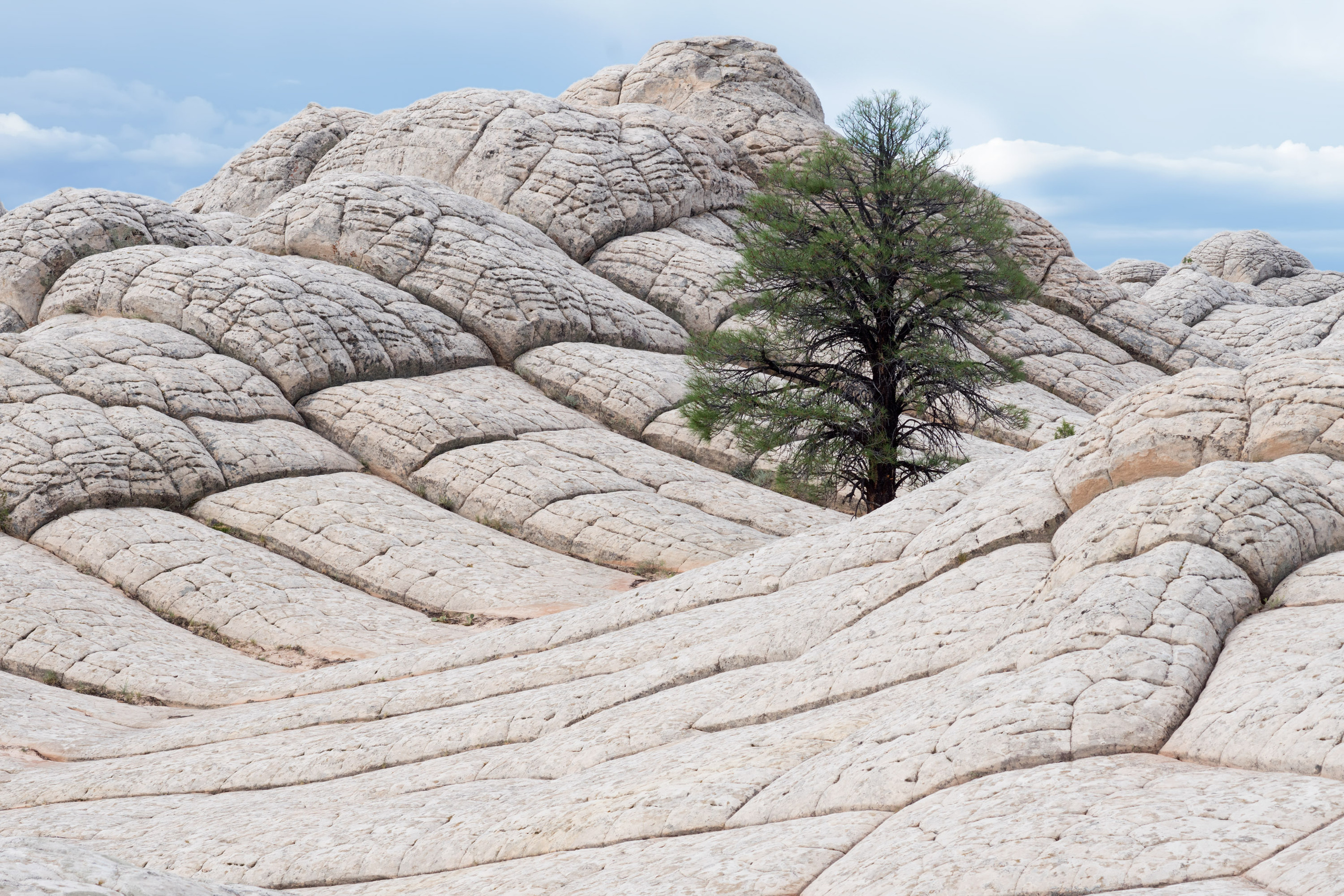 The landscapes. Photographer Irina Kozhemyakina. Houston