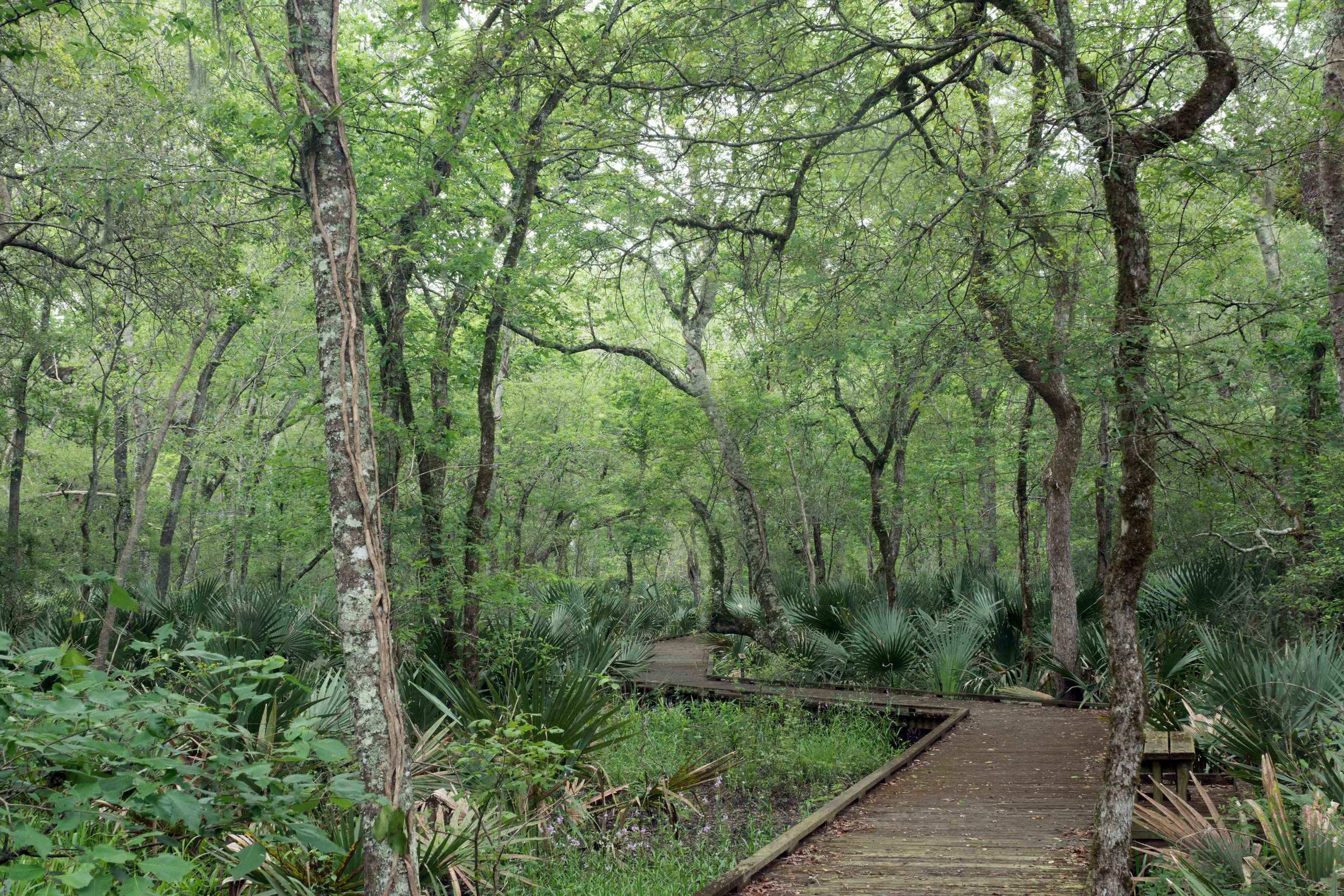 The landscapes. Photographer Irina Kozhemyakina. Houston