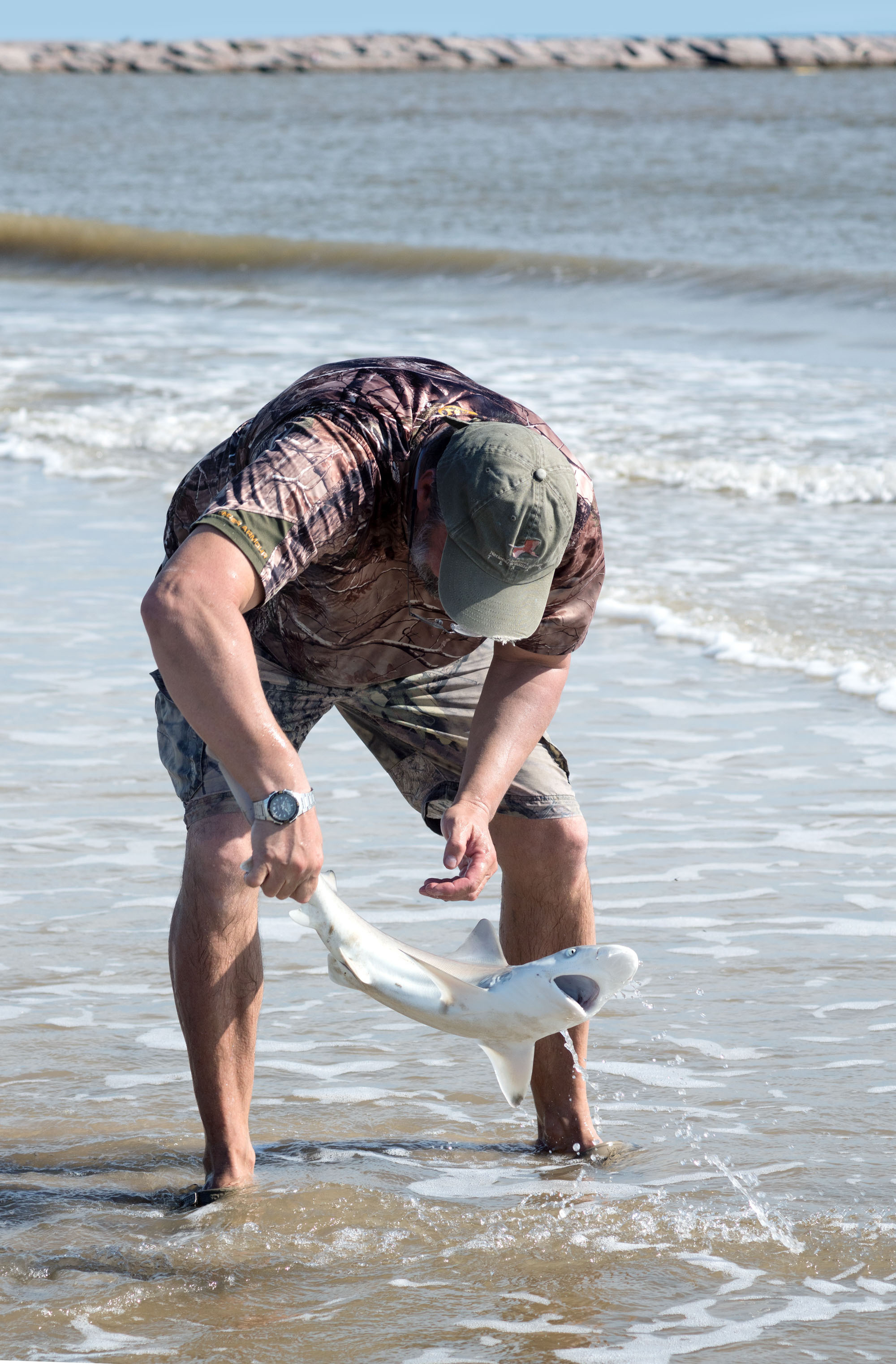 2017-10-15, Montagorda, sharks. Photographer Irina Kozhemyakina. Houston