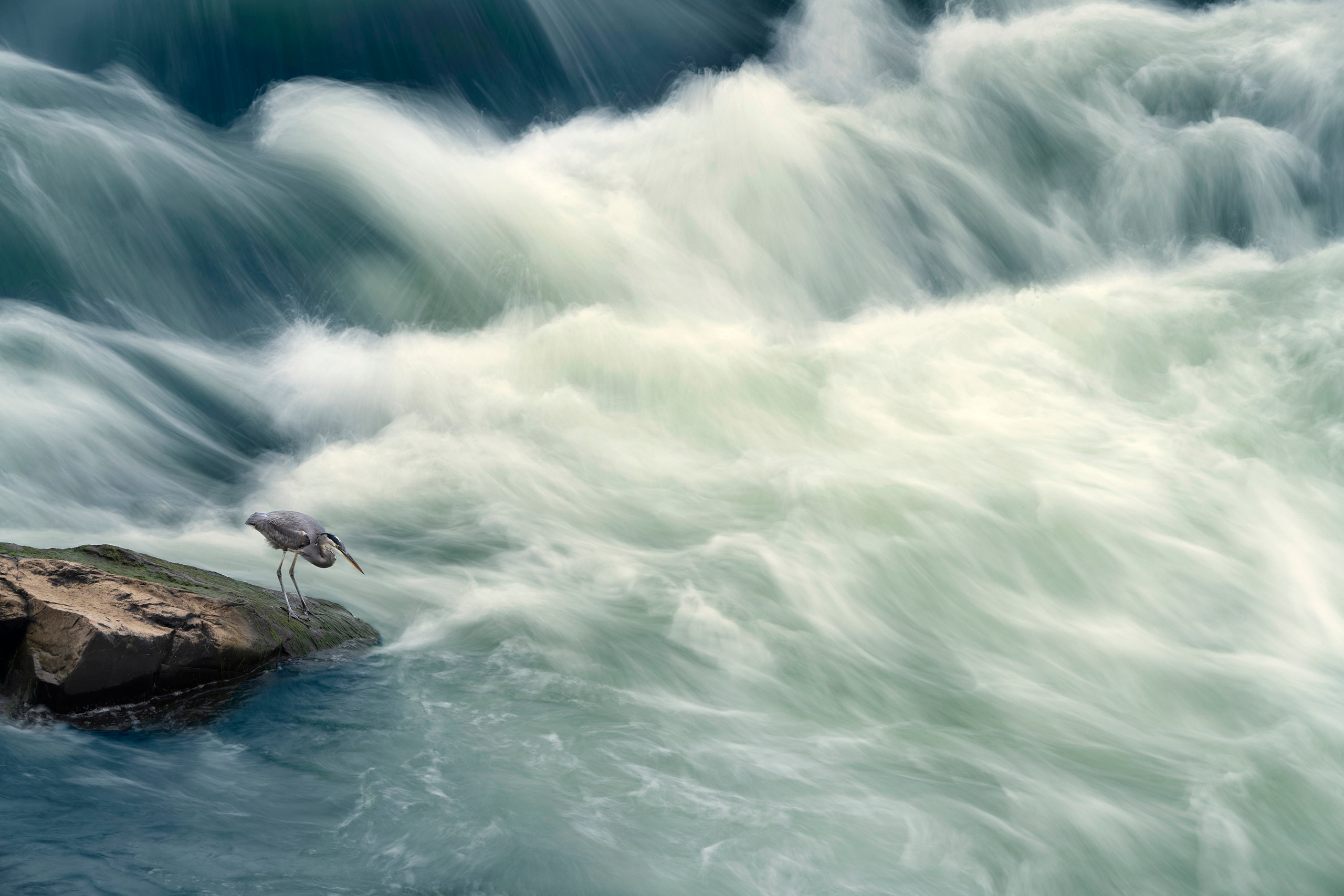 The landscapes. Photographer Irina Kozhemyakina. Houston