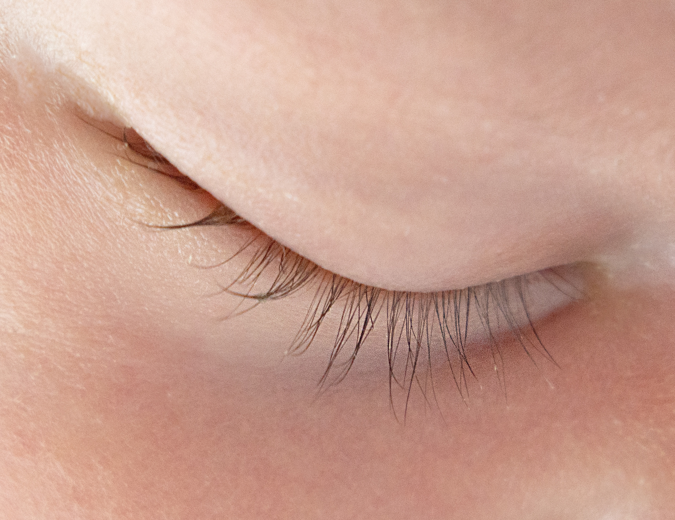 Olly. Photographer Irina Kozhemyakina. Houston