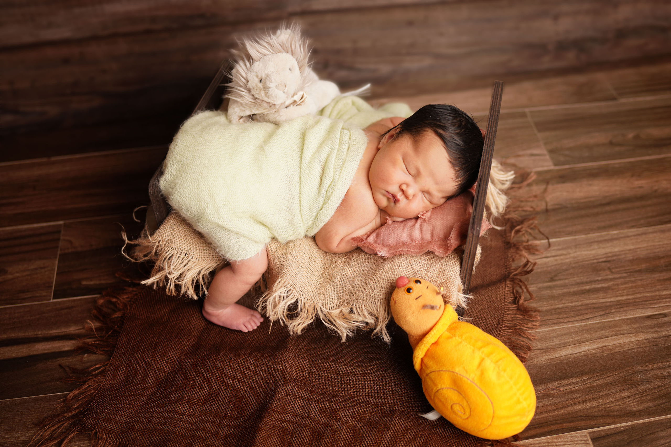 Saya. Photographer Irina Kozhemyakina. Houston