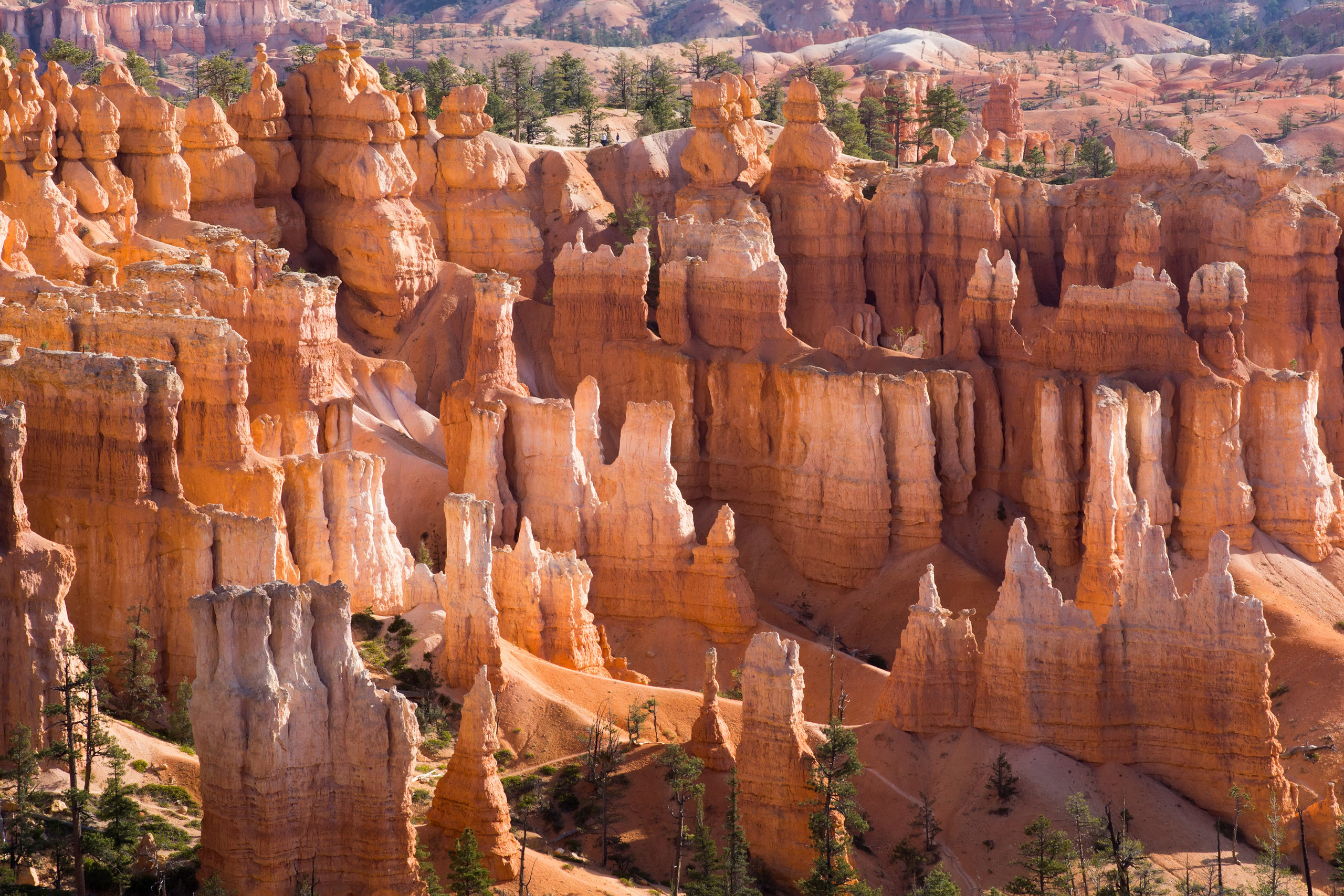 The landscapes. Photographer Irina Kozhemyakina. Houston