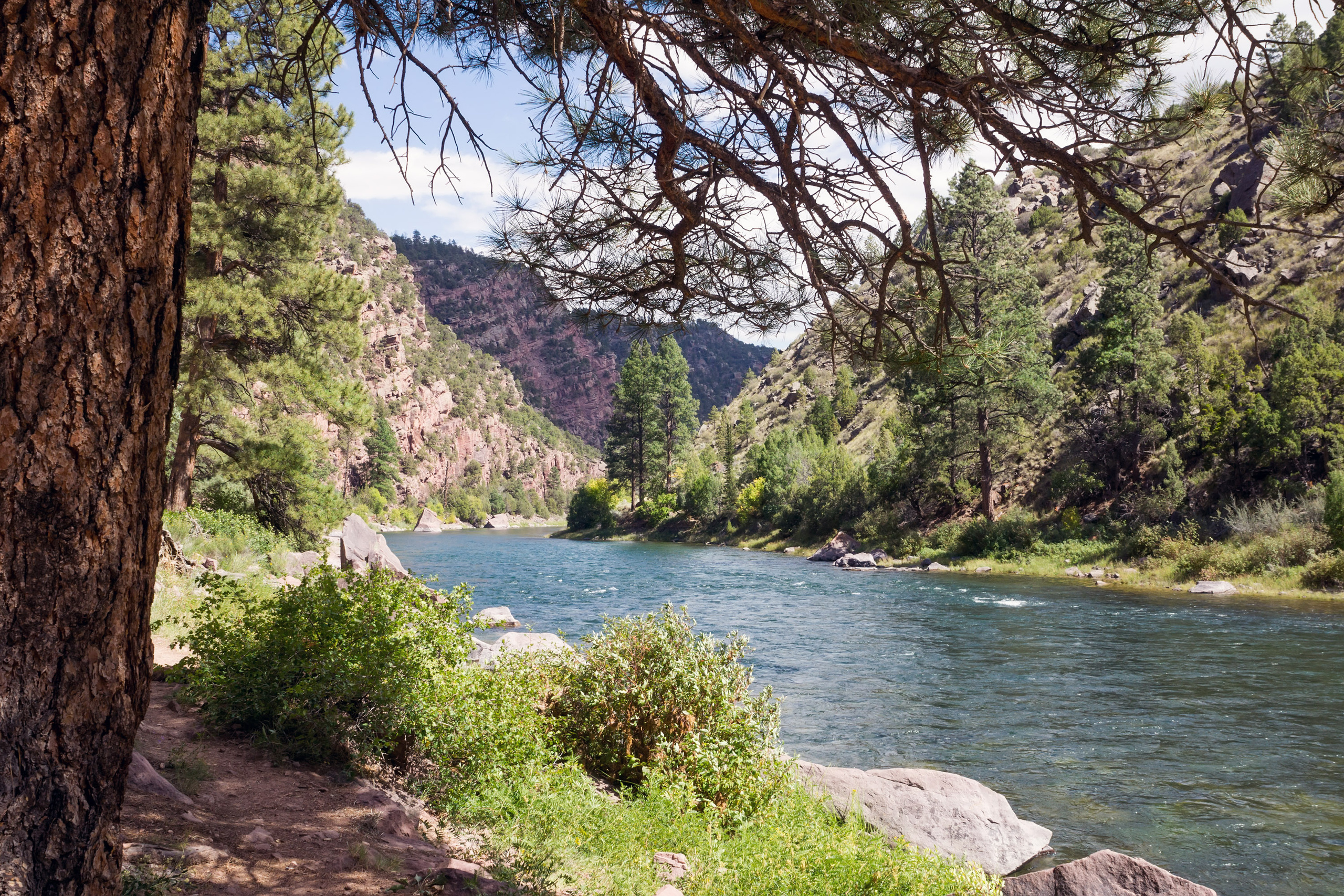 The landscapes. Photographer Irina Kozhemyakina. Houston