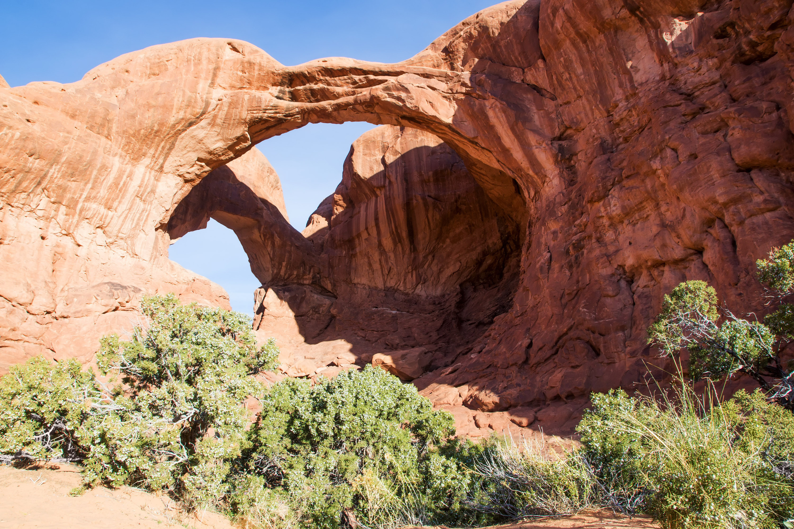 The landscapes. Photographer Irina Kozhemyakina. Houston