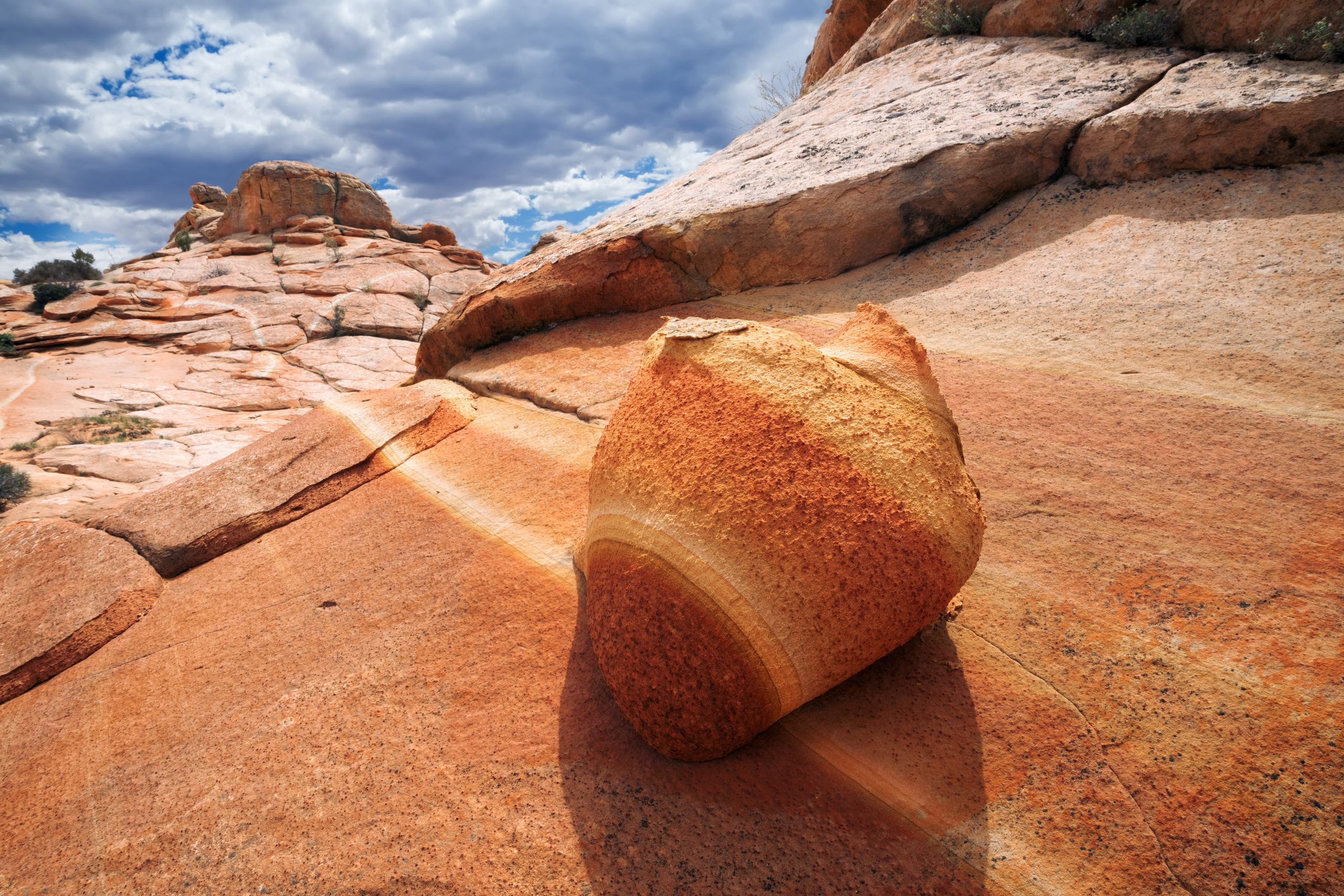 The landscapes. Photographer Irina Kozhemyakina. Houston