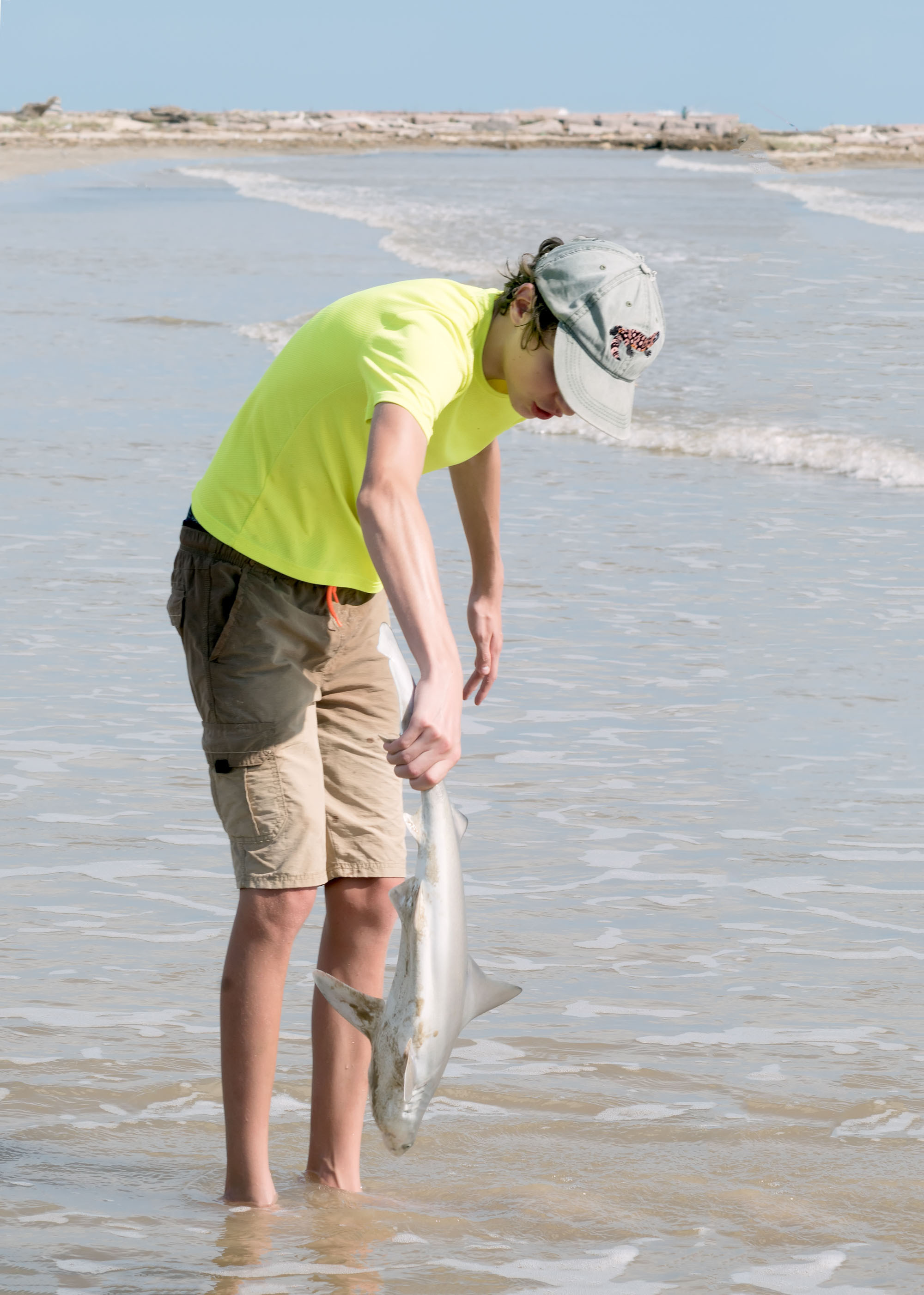 2017-10-15, Montagorda, sharks. Photographer Irina Kozhemyakina. Houston