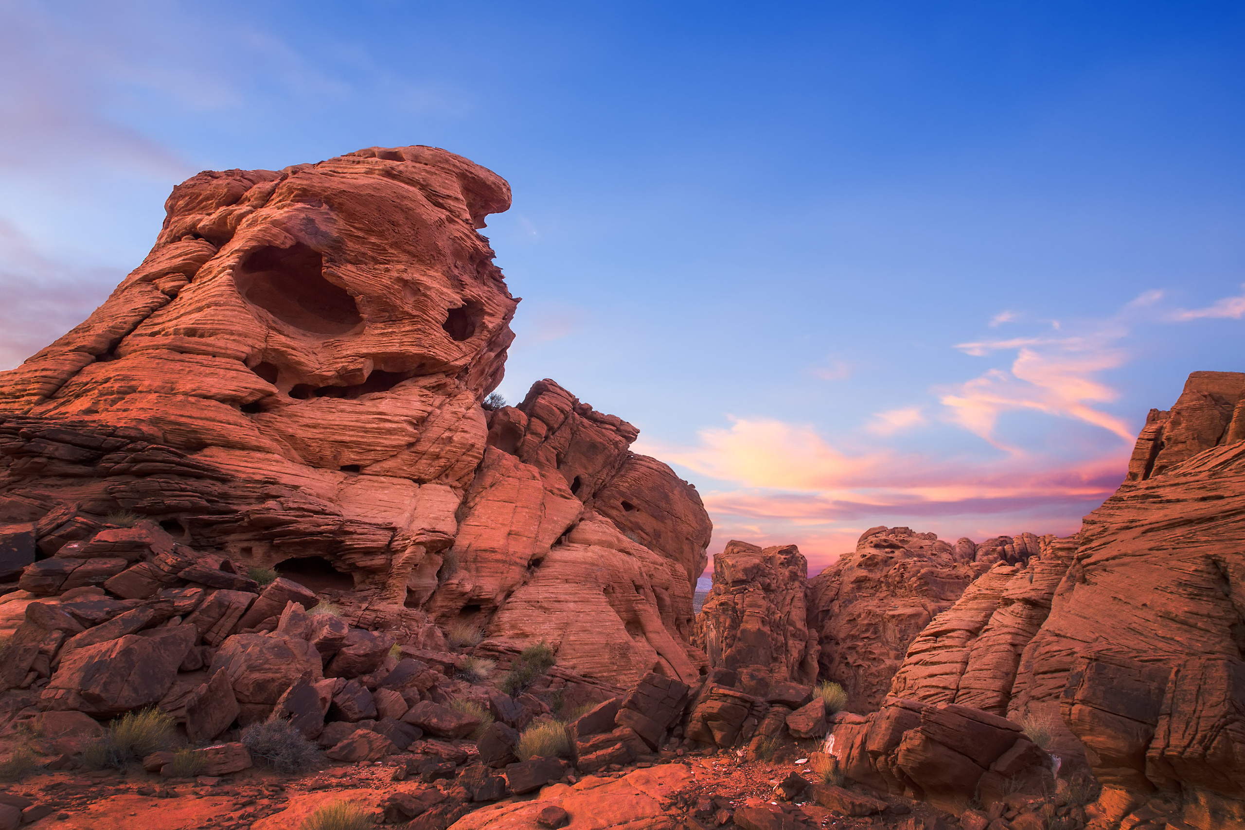 The landscapes. Photographer Irina Kozhemyakina. Houston