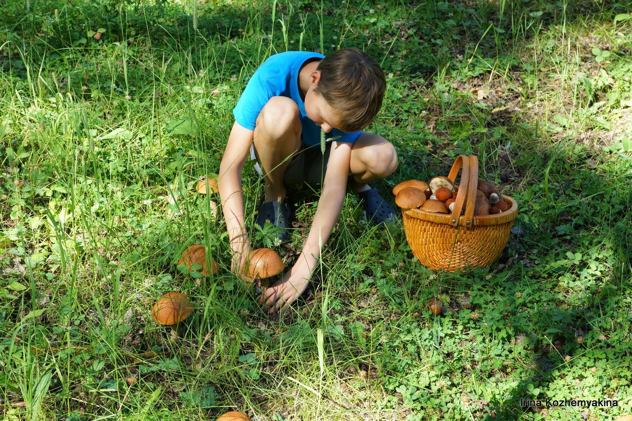 2014-08-10, Mushrooms. Photographer Irina Kozhemyakina. Houston