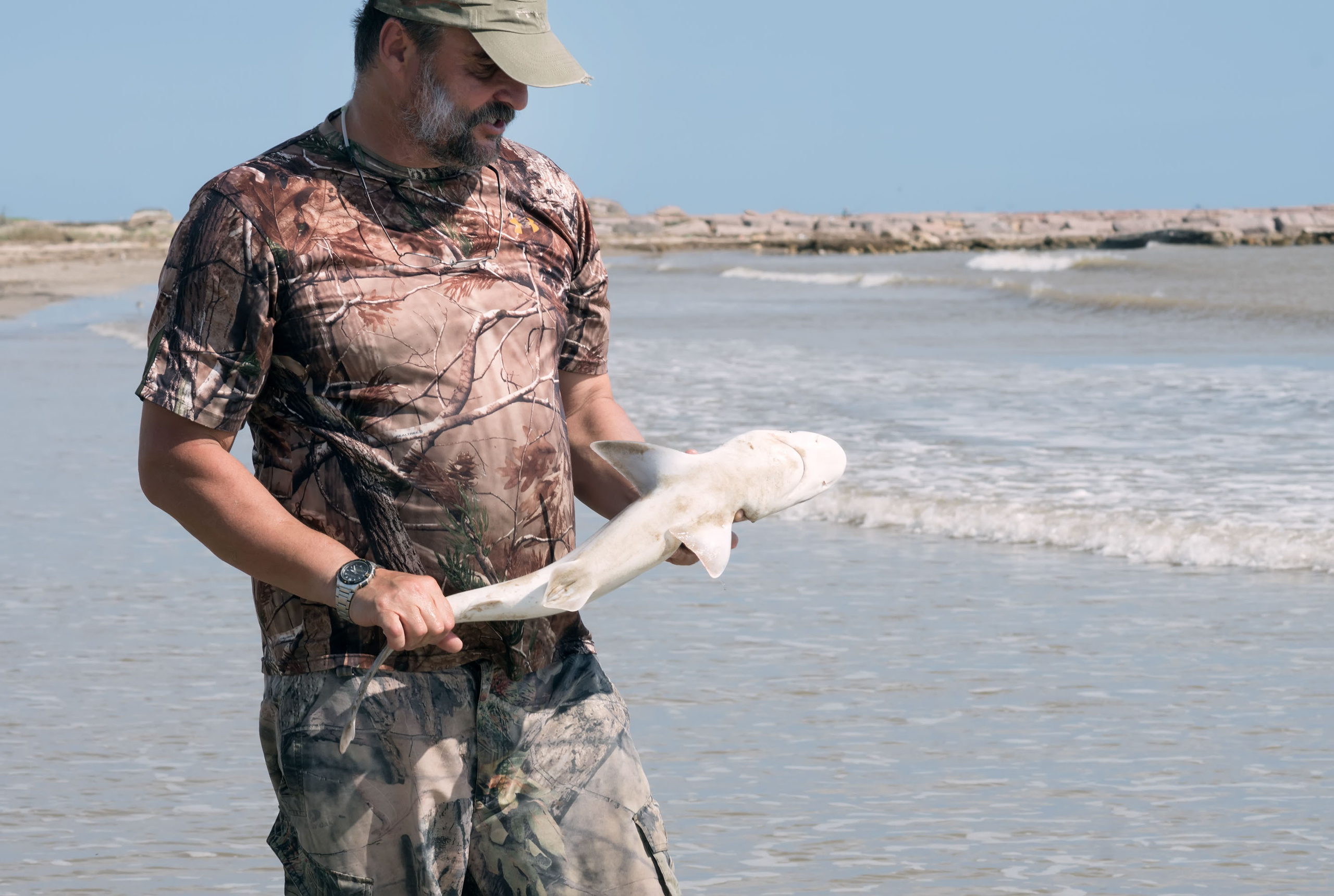 2017-10-15, Montagorda, sharks. Photographer Irina Kozhemyakina. Houston