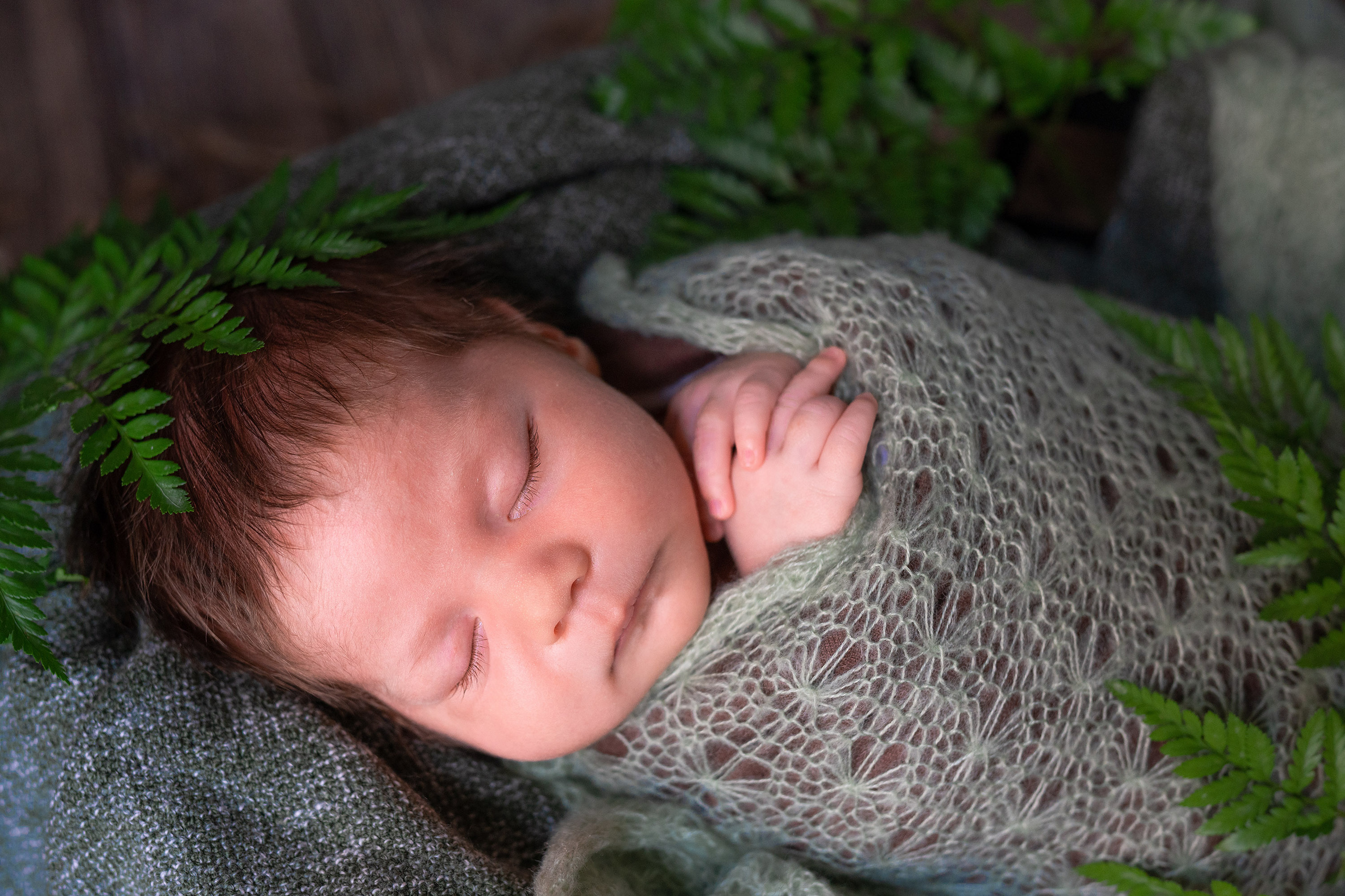 Olly. Photographer Irina Kozhemyakina. Houston