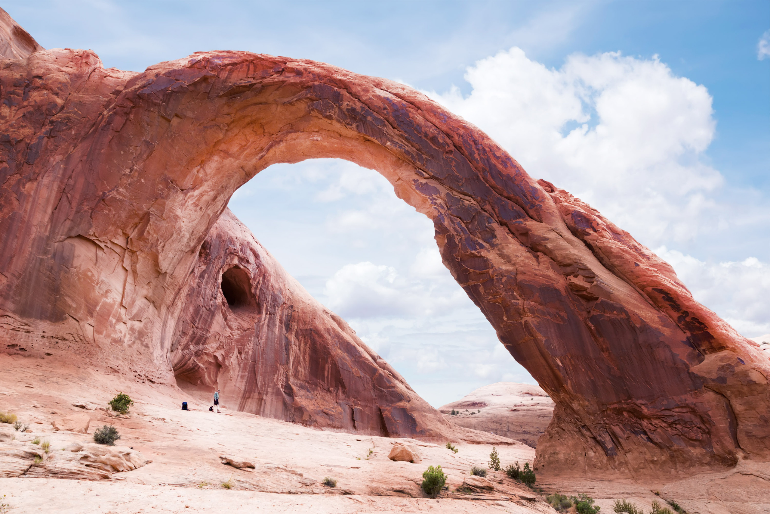 The landscapes. Photographer Irina Kozhemyakina. Houston