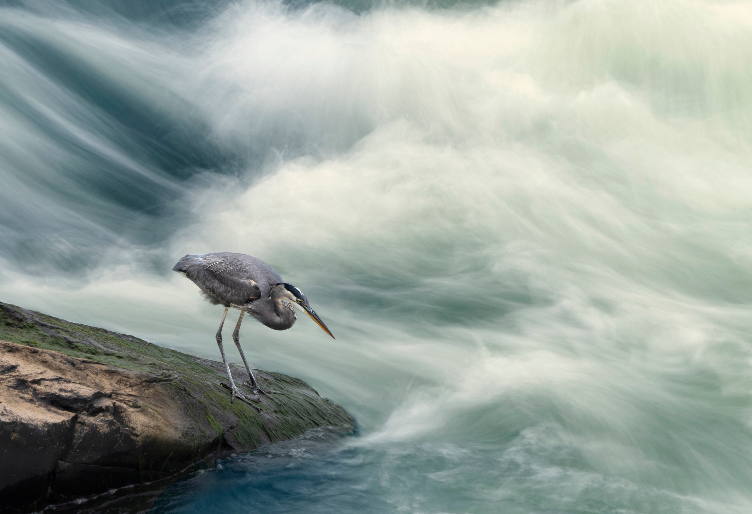The landscapes. Photographer Irina Kozhemyakina. Houston