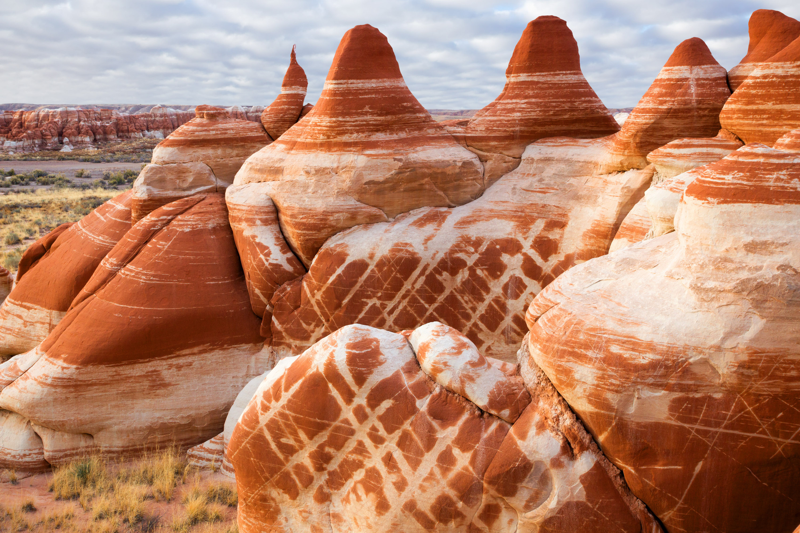 The landscapes. Photographer Irina Kozhemyakina. Houston