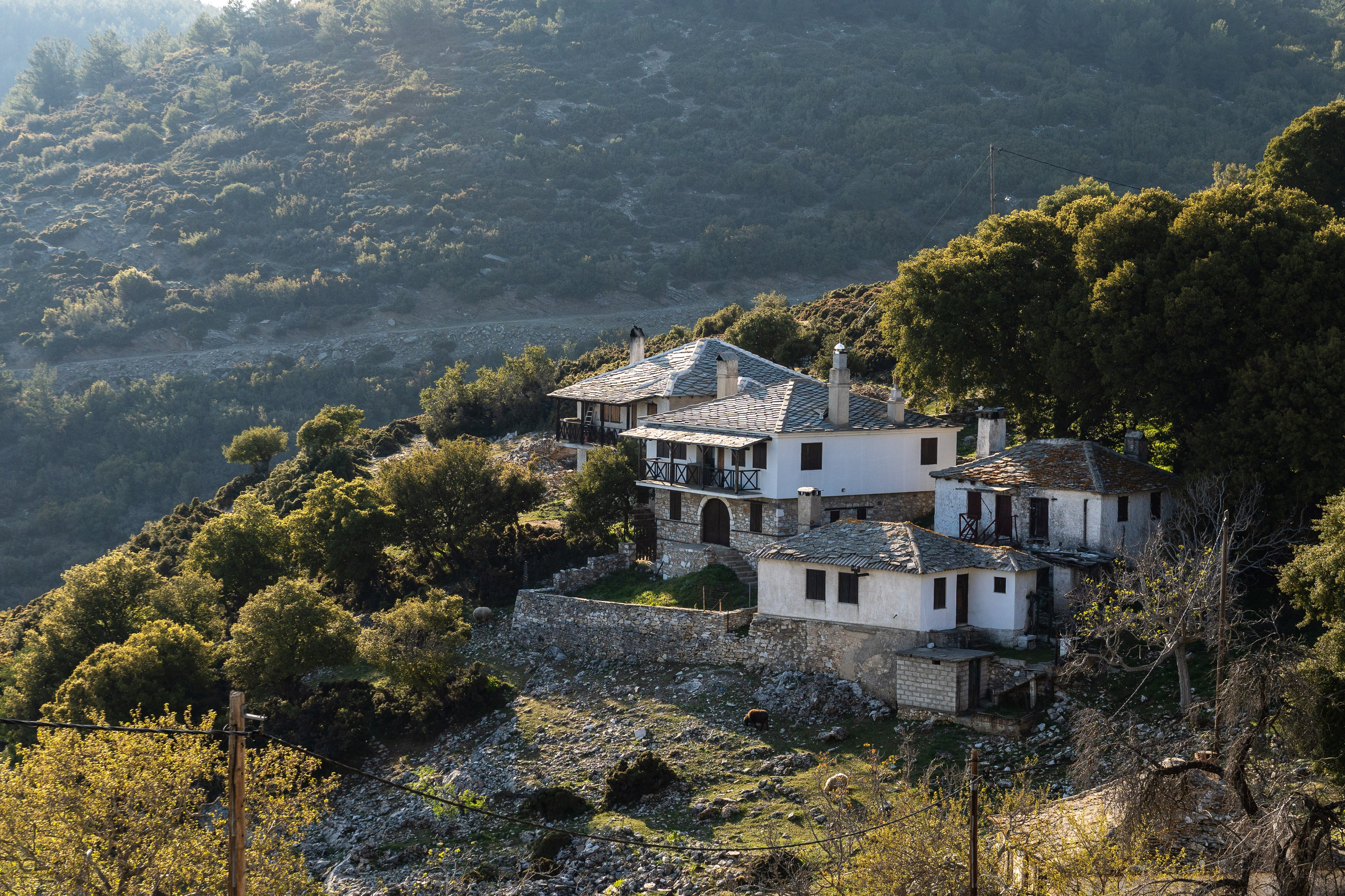 Thasos 2025. Fotografiideplacere.net