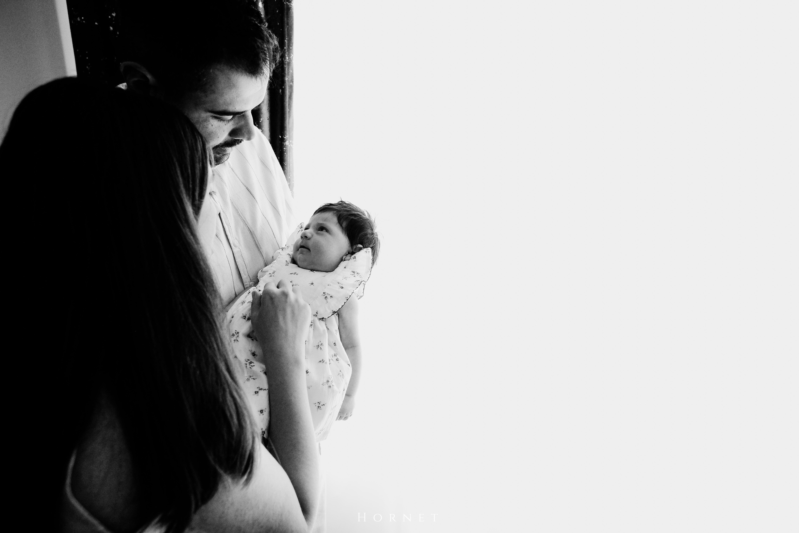 Ana. Hornetart