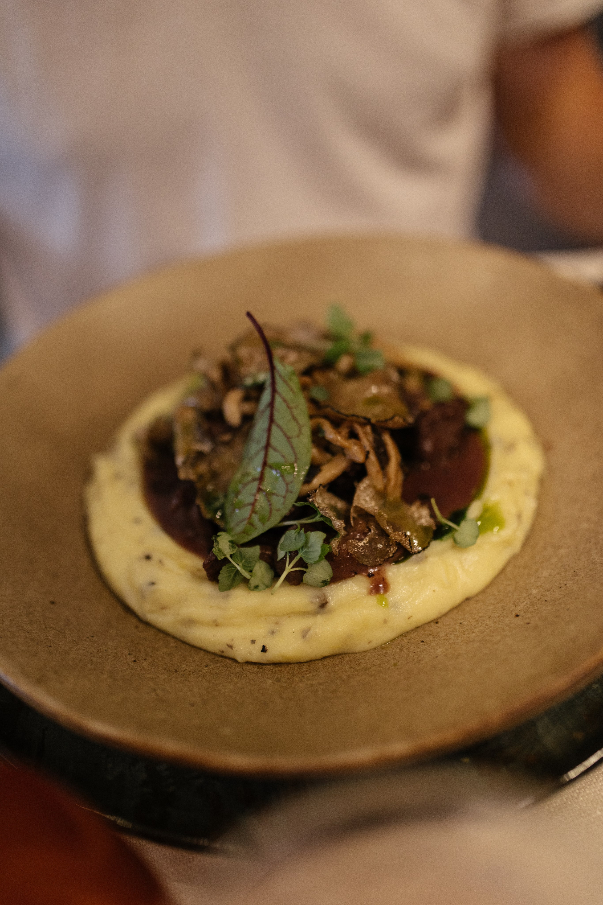 Casa Timis. Patricia Morenci — Mountain Adventures for the Wild at Heart