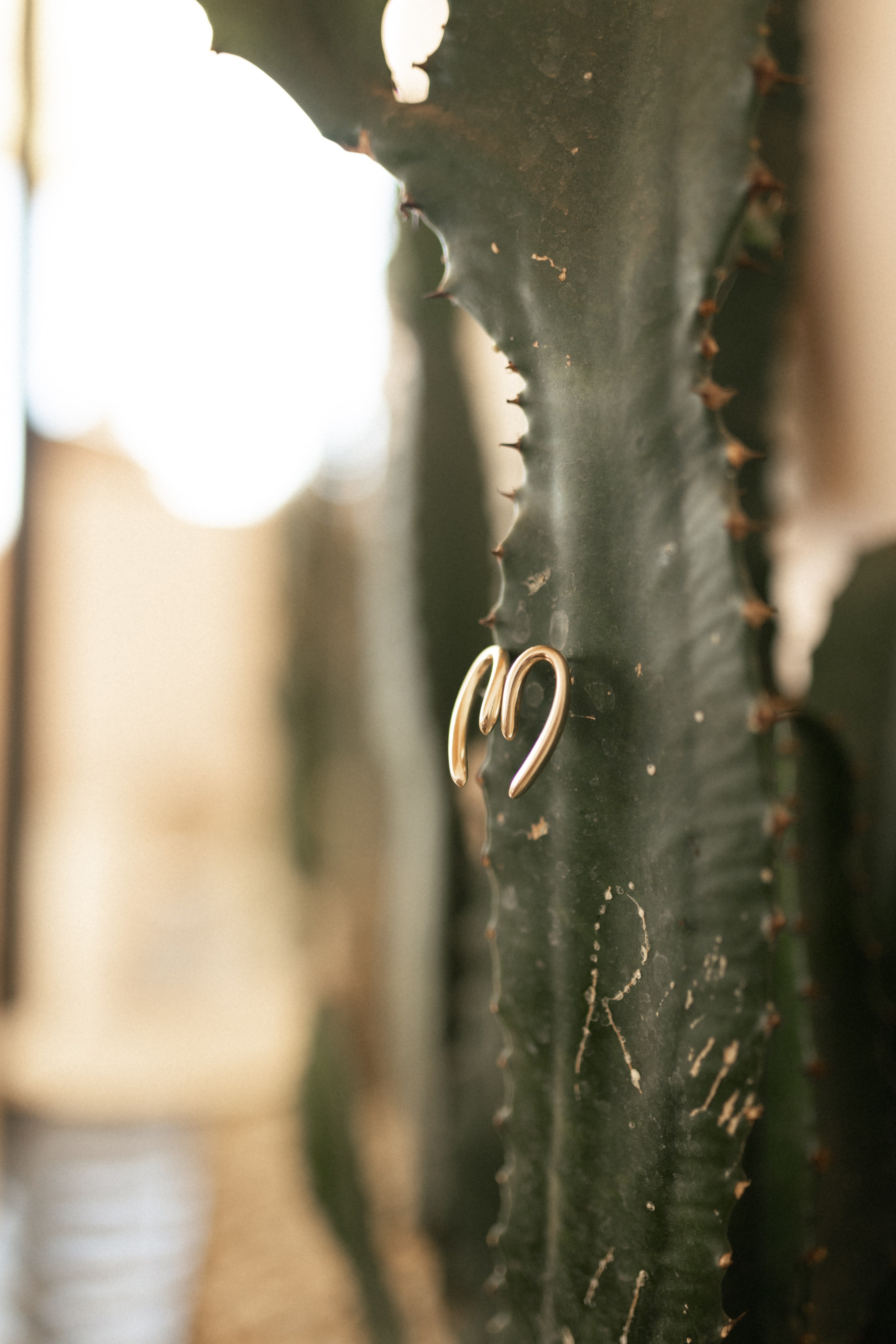 Morrocan dream. Patricia Morenci — Mountain Adventures for the Wild at Heart