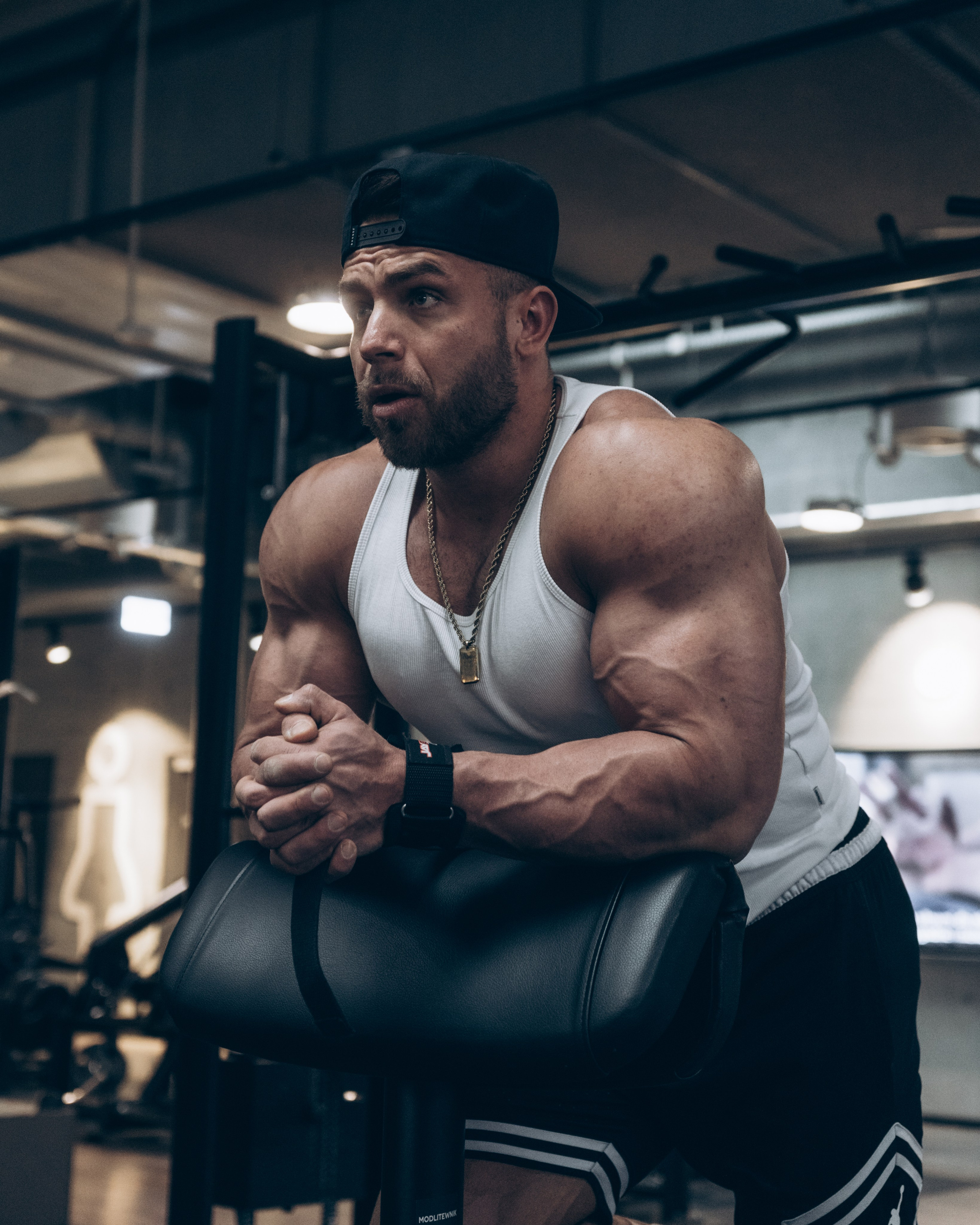 Fitnes & Bodybuilding. Mike Avelli