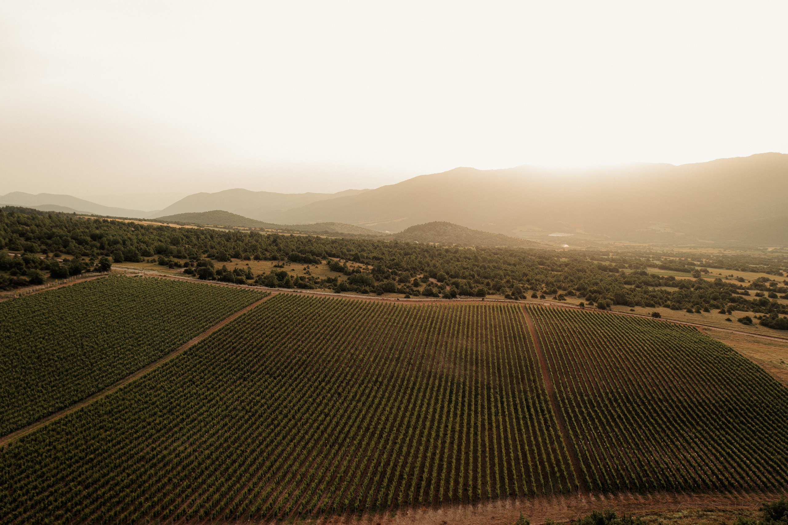 Estates Costa Lazaridi