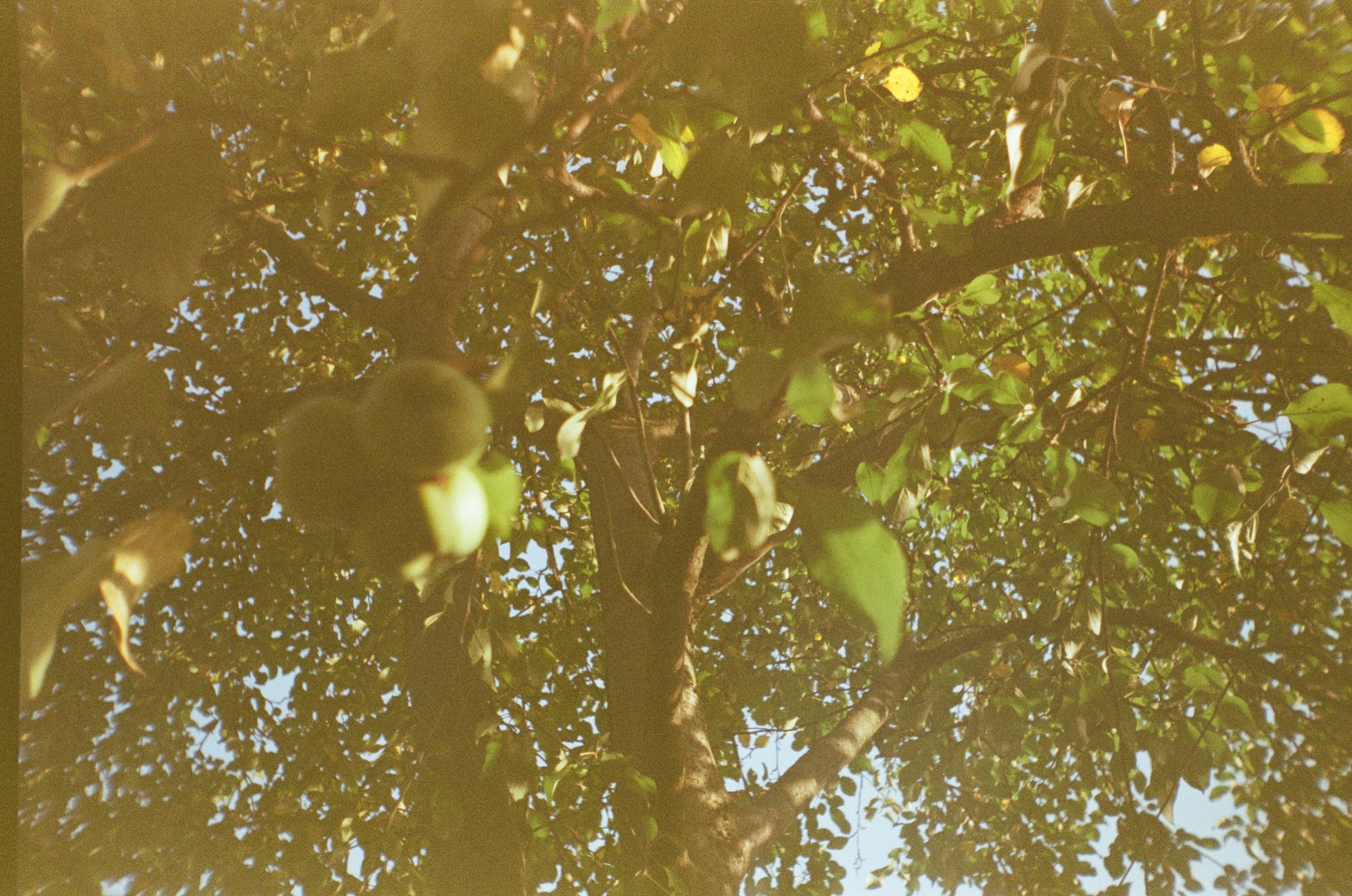 Stories we did not tell. Mayya Kelova artist