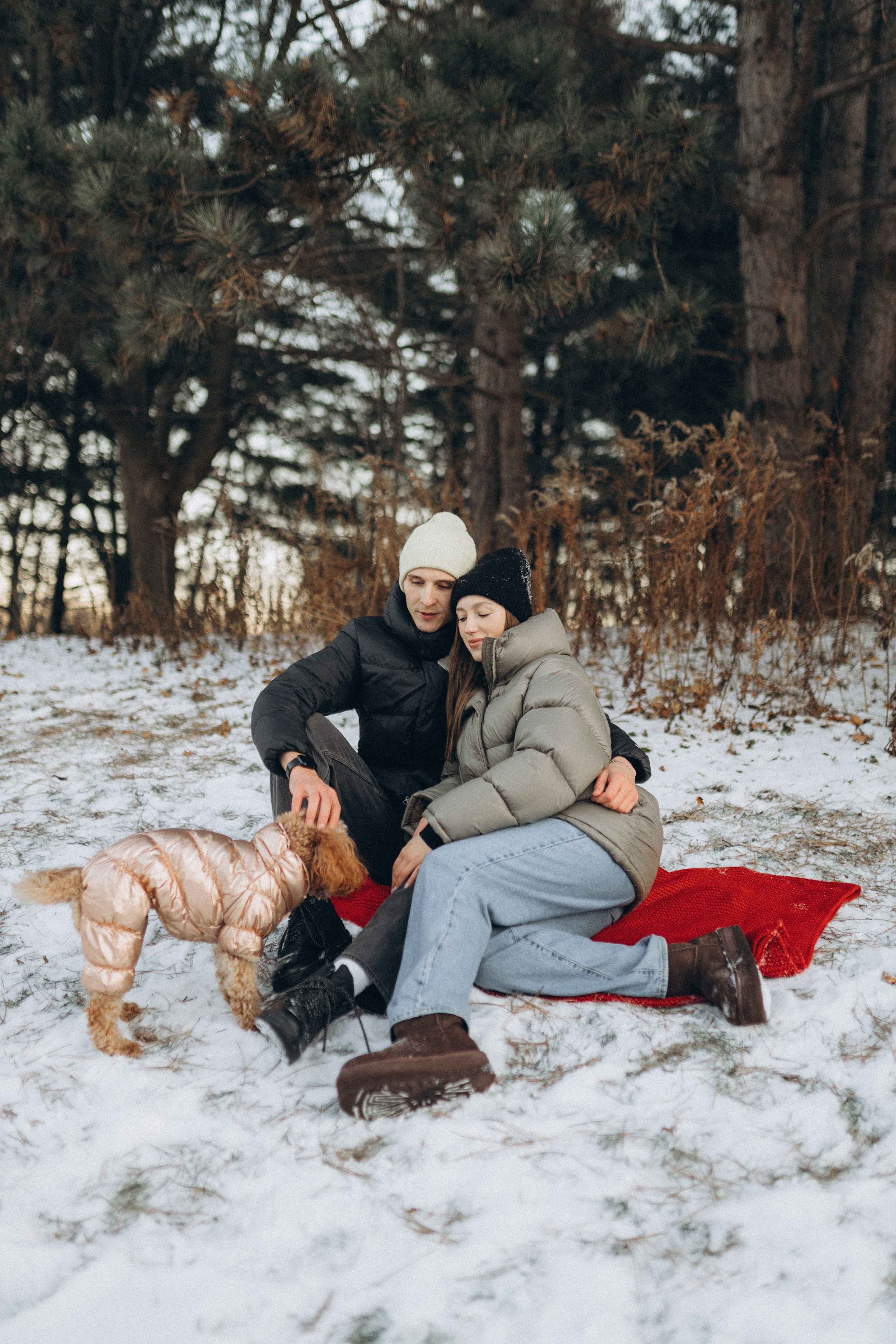 Winter magic. Chernenko.photography