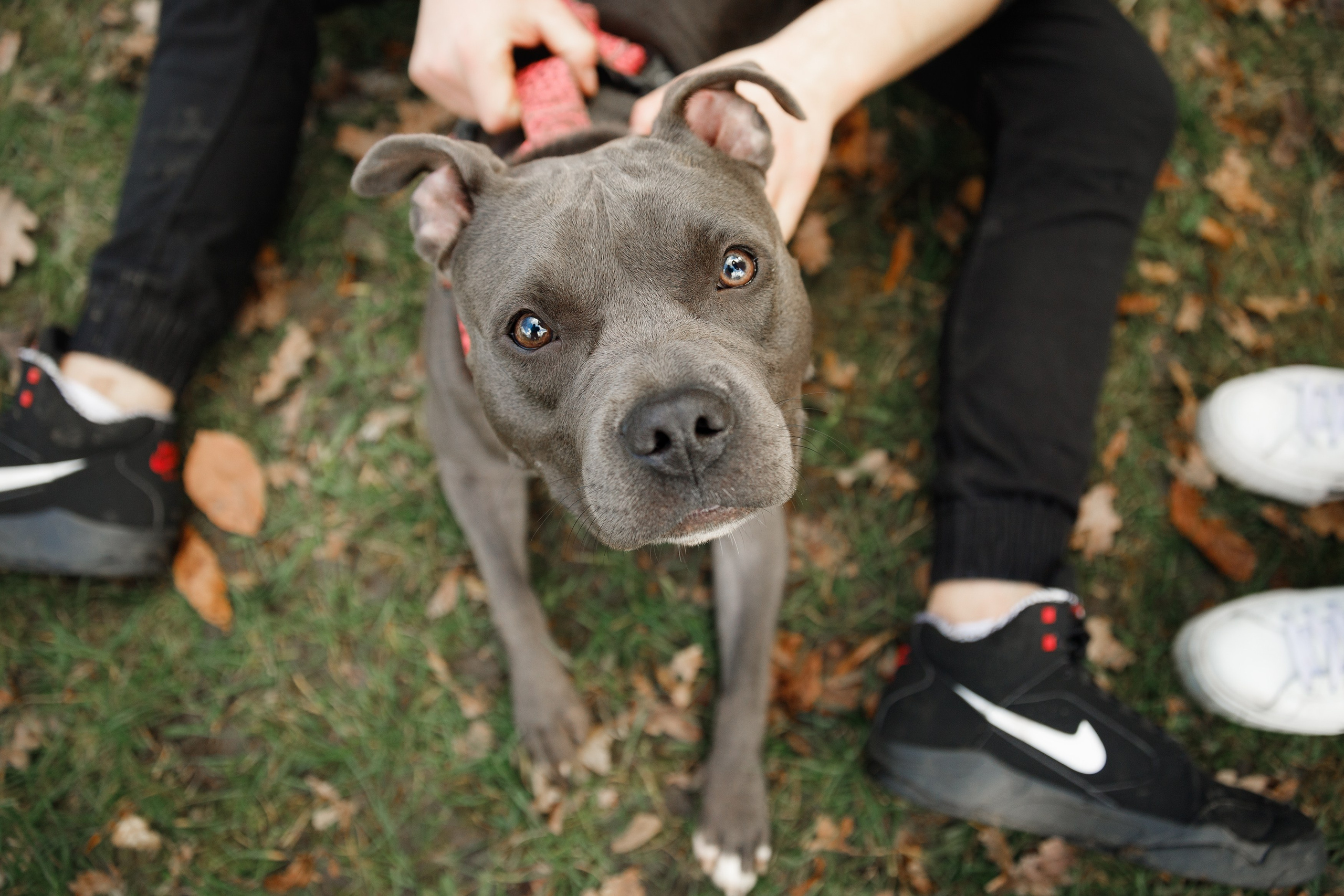 Bombka. Kaja | fotograf we Wrocławiu | ludzie i psy