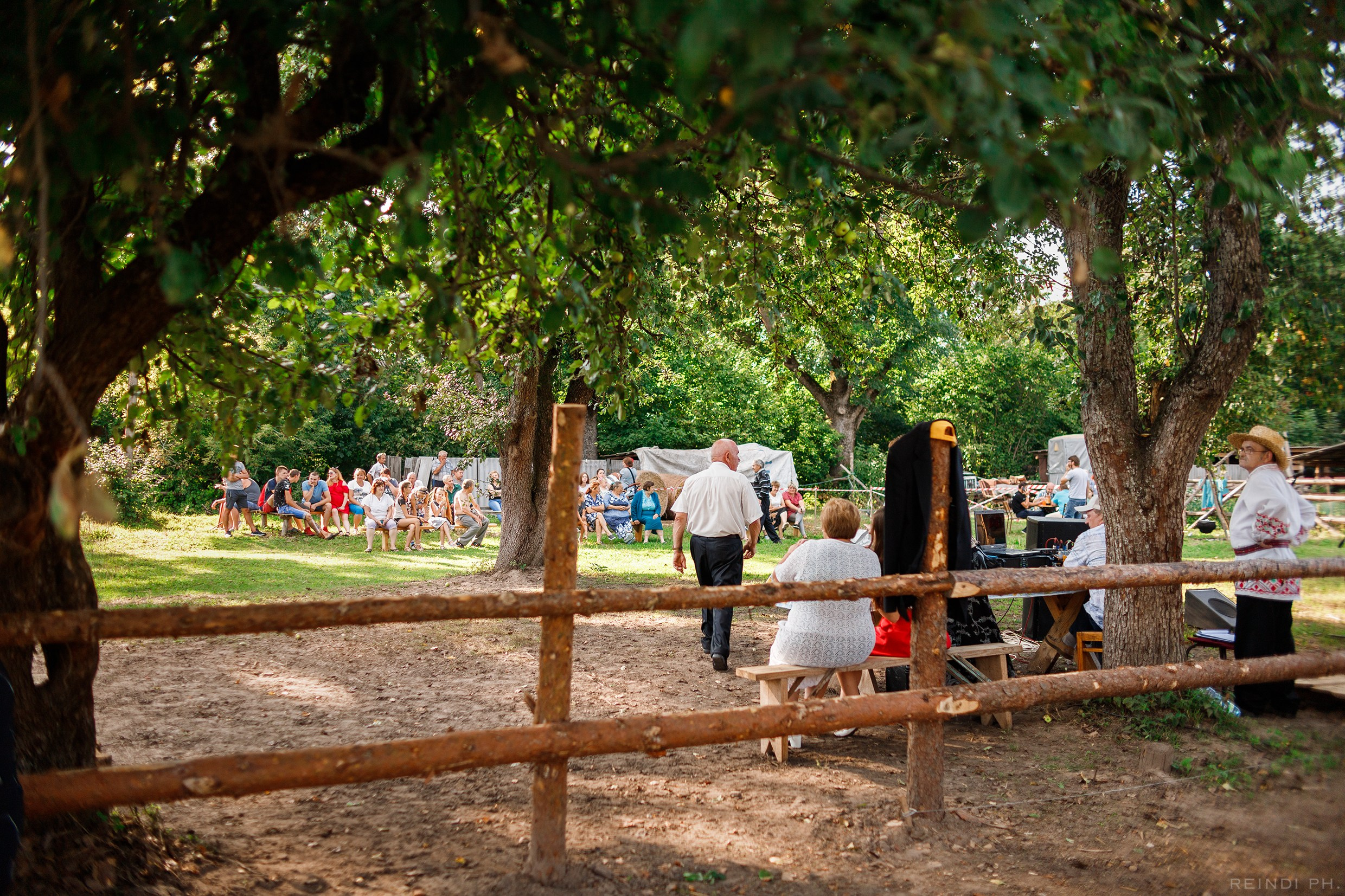 Horse show in the village. Kaja | fotograf we Wrocławiu | ludzie i psy