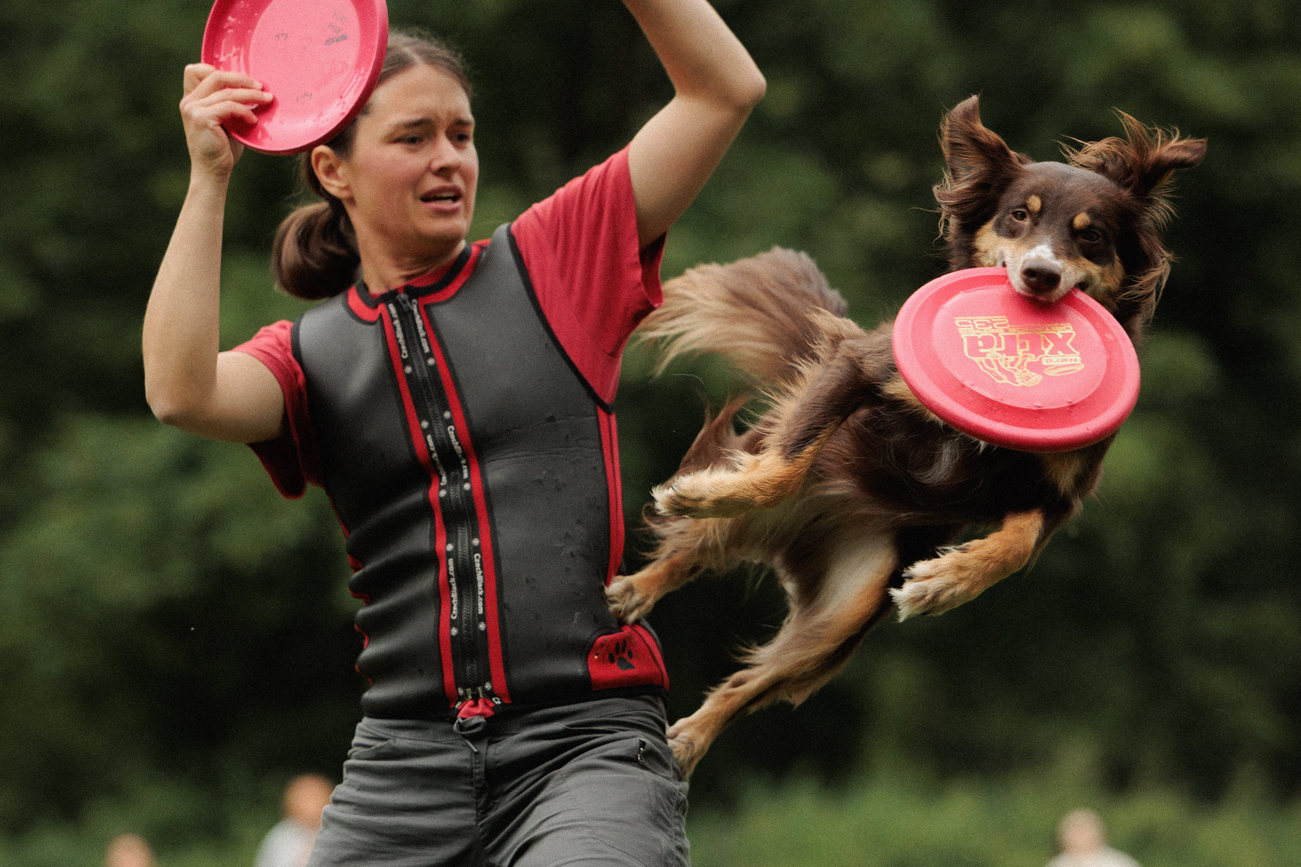 Latające psy, Wrocław'25. Kaja | fotograf psów we Wrocławiu