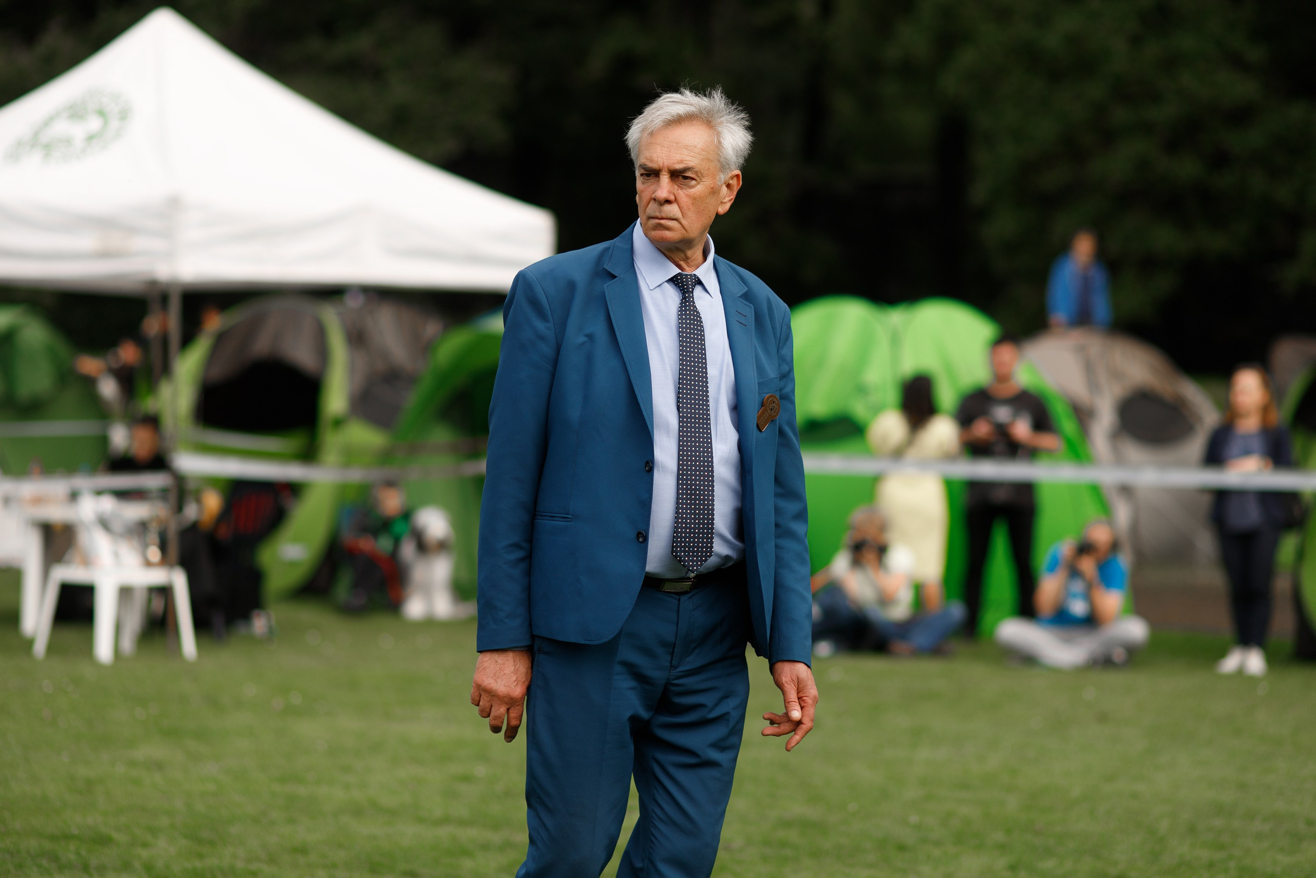 Dog shows | the best ones. Kaja | fotograf psów we Wrocławiu