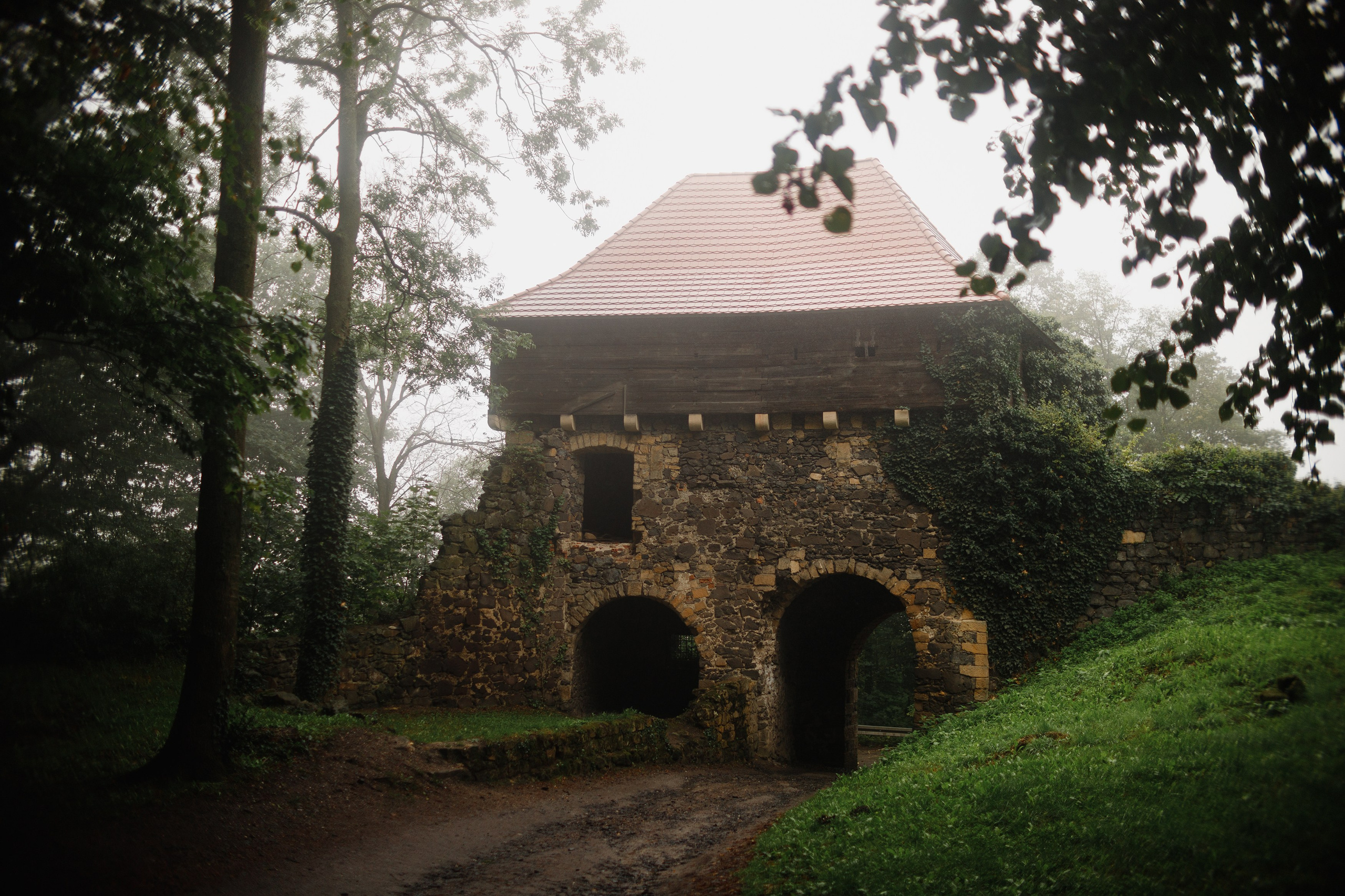 Zamek Grodziec. Kaja | fotograf psów we Wrocławiu