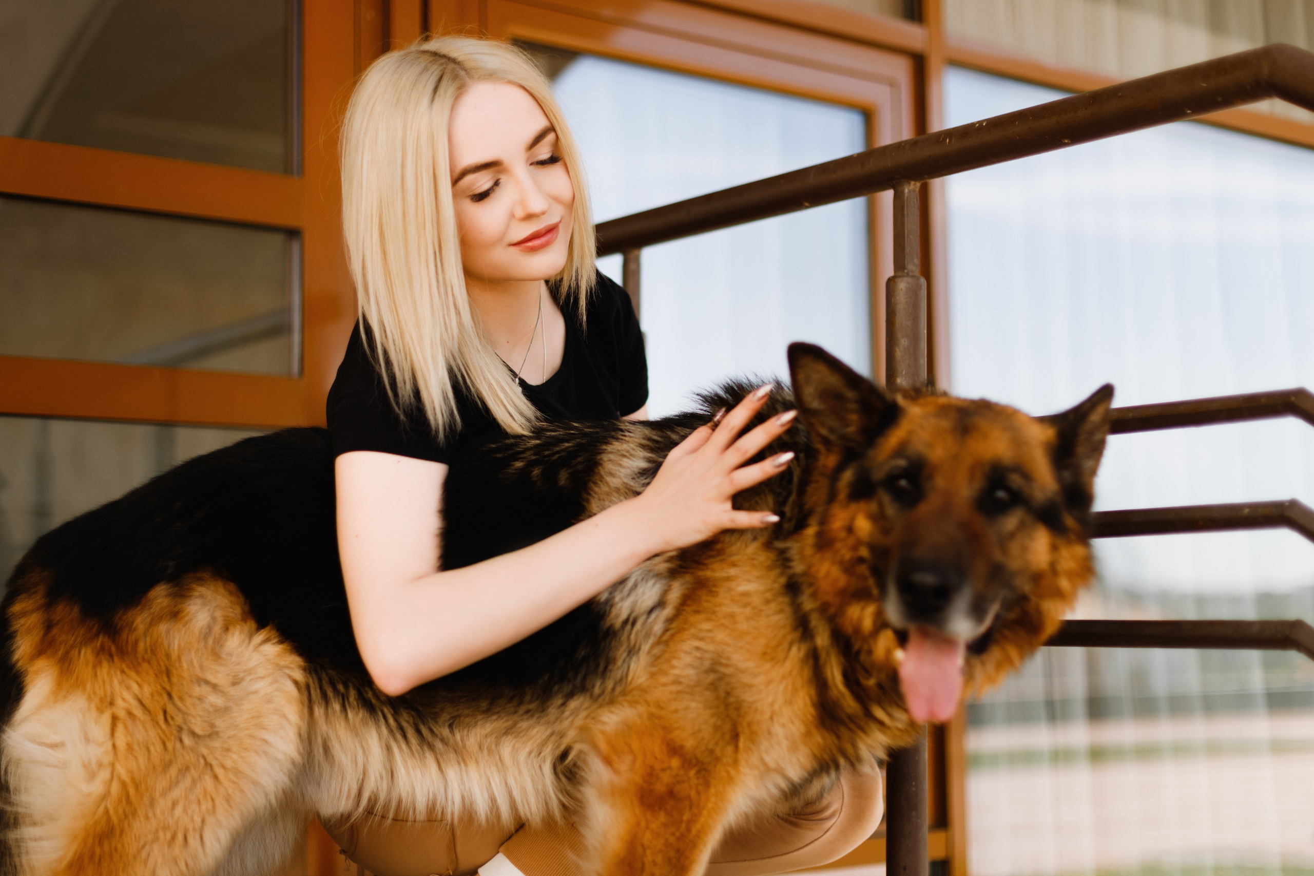 Dog trainer blog content. Kaja | fotograf we Wrocławiu | ludzie i psy