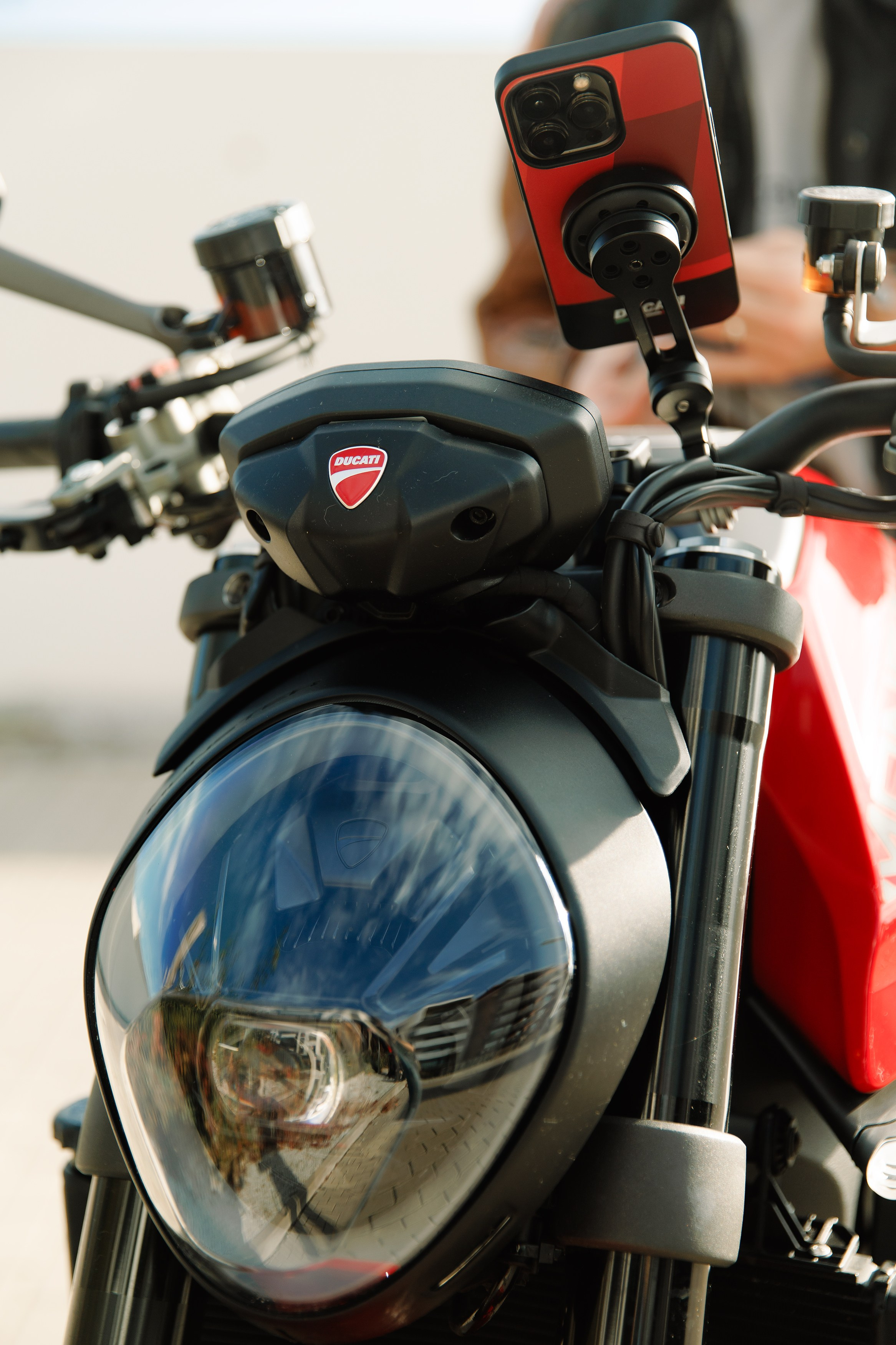 Alex. Kaja | fotograf psów we Wrocławiu