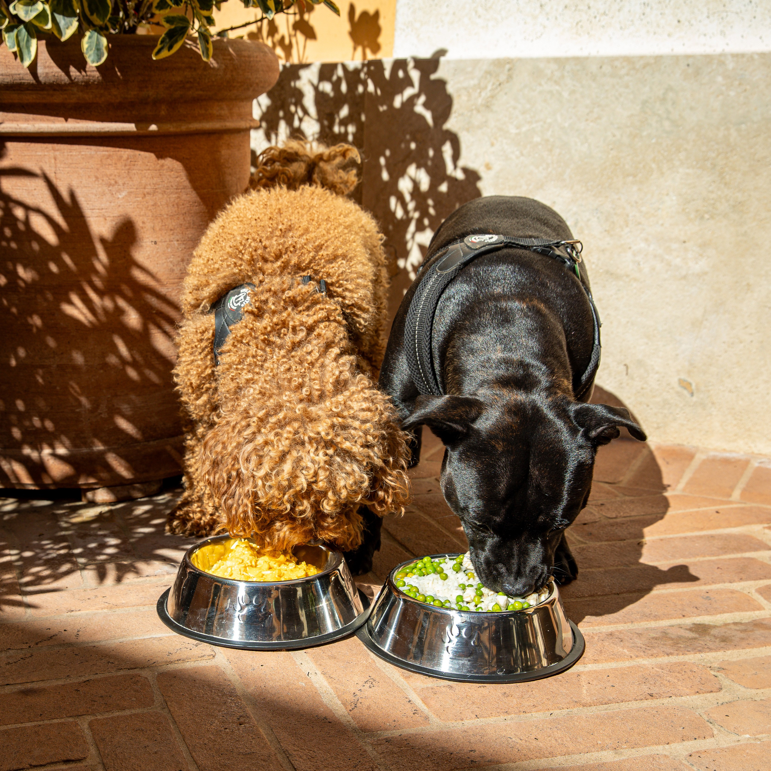 PALAZZO RIPETTA. Elizaveta Razumova: Cinematic Photography for Love, Weddings, Portraits & Brands