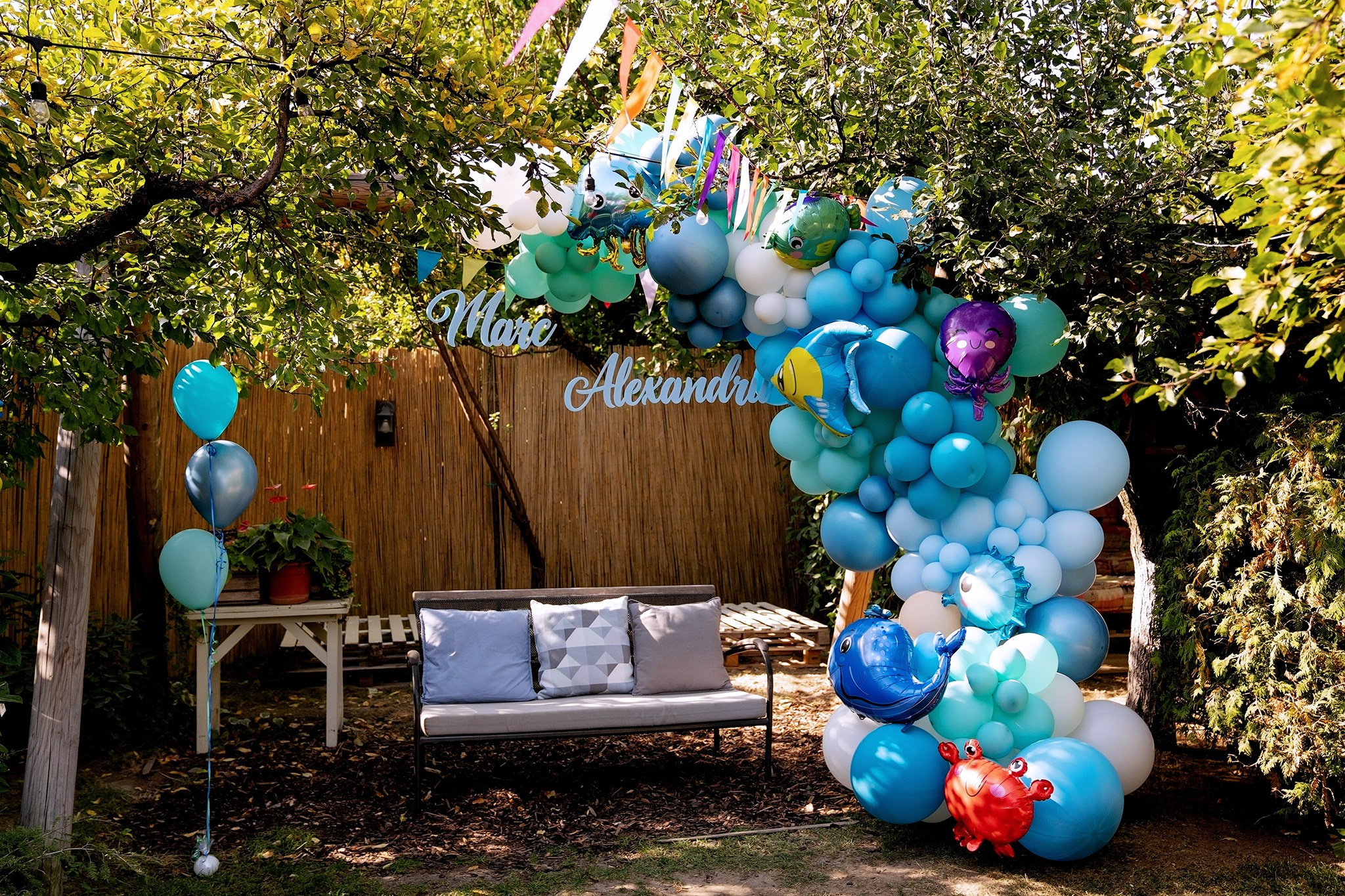 Marc Alexandru. Fotograf evenimente. Fotograf nunta. Fotograf Botez. Mihaela Savu