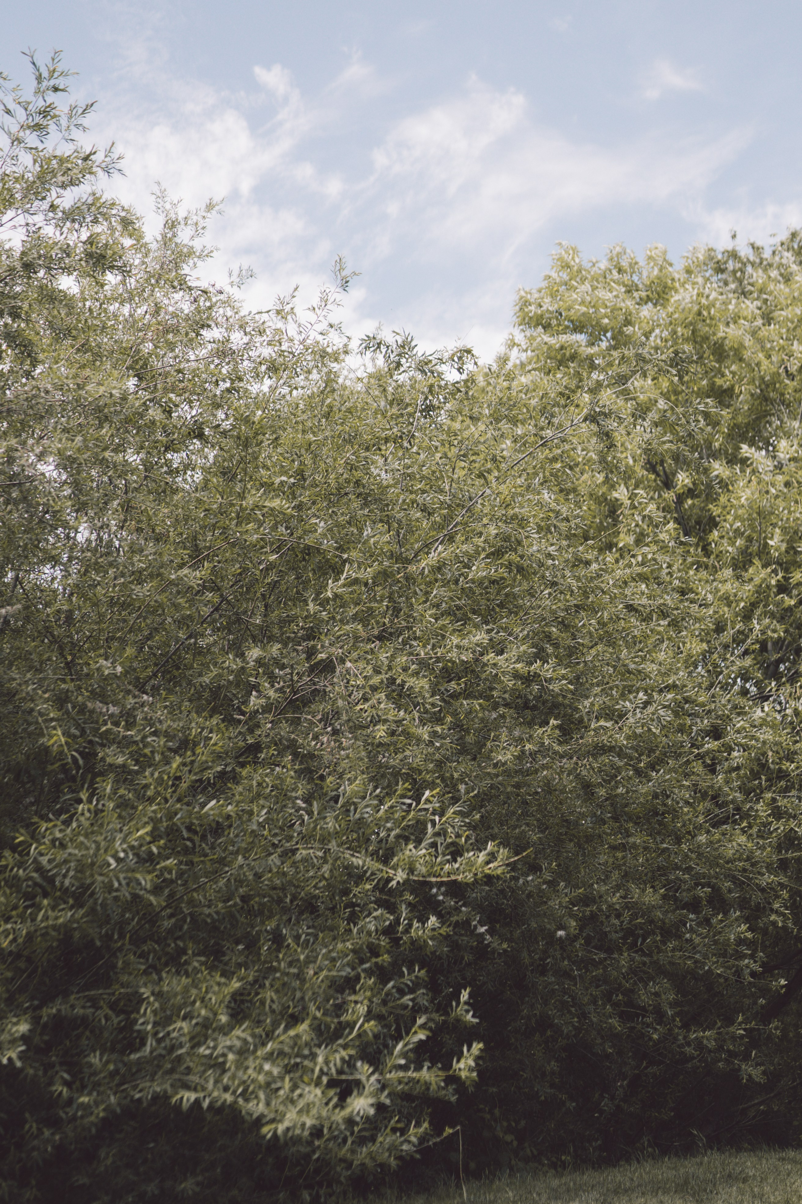 Fotografie de Eveniment Brașov: Povești Vizuale | Mădălina Beda. Madalina Beda- Artist vizual, fotograf, doula la nastere, consultant babywearing Brasov si in toata tara