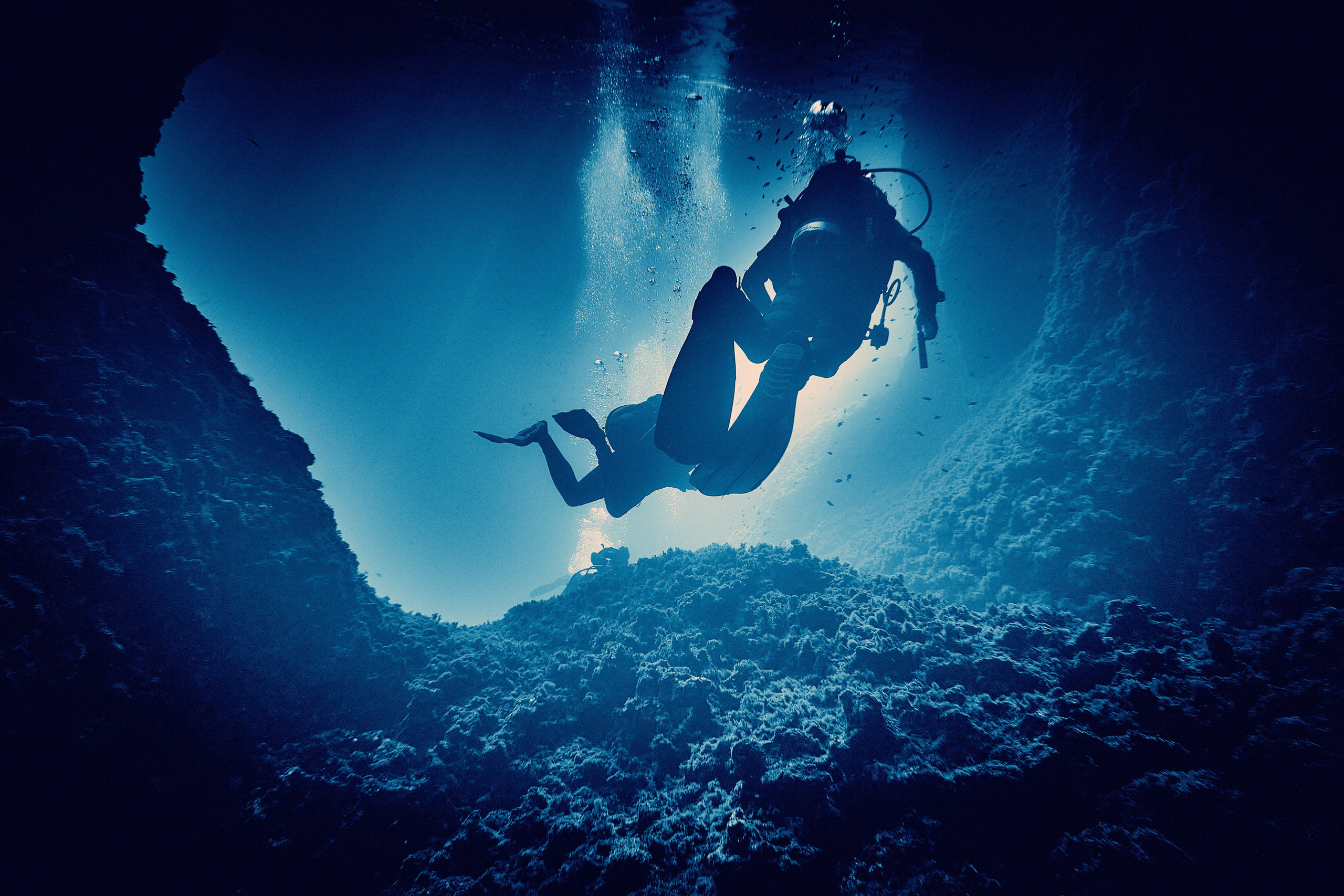 Fotograf podwodny Andriej Szypiłow. Андрей Шипилов — Фотография & Видеография