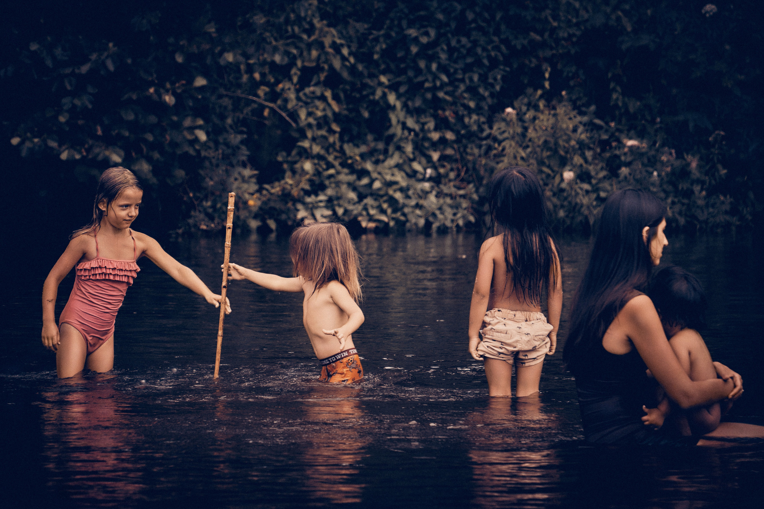 Organic Festival 2024. Андрей Шипилов — Фотография & Видеография