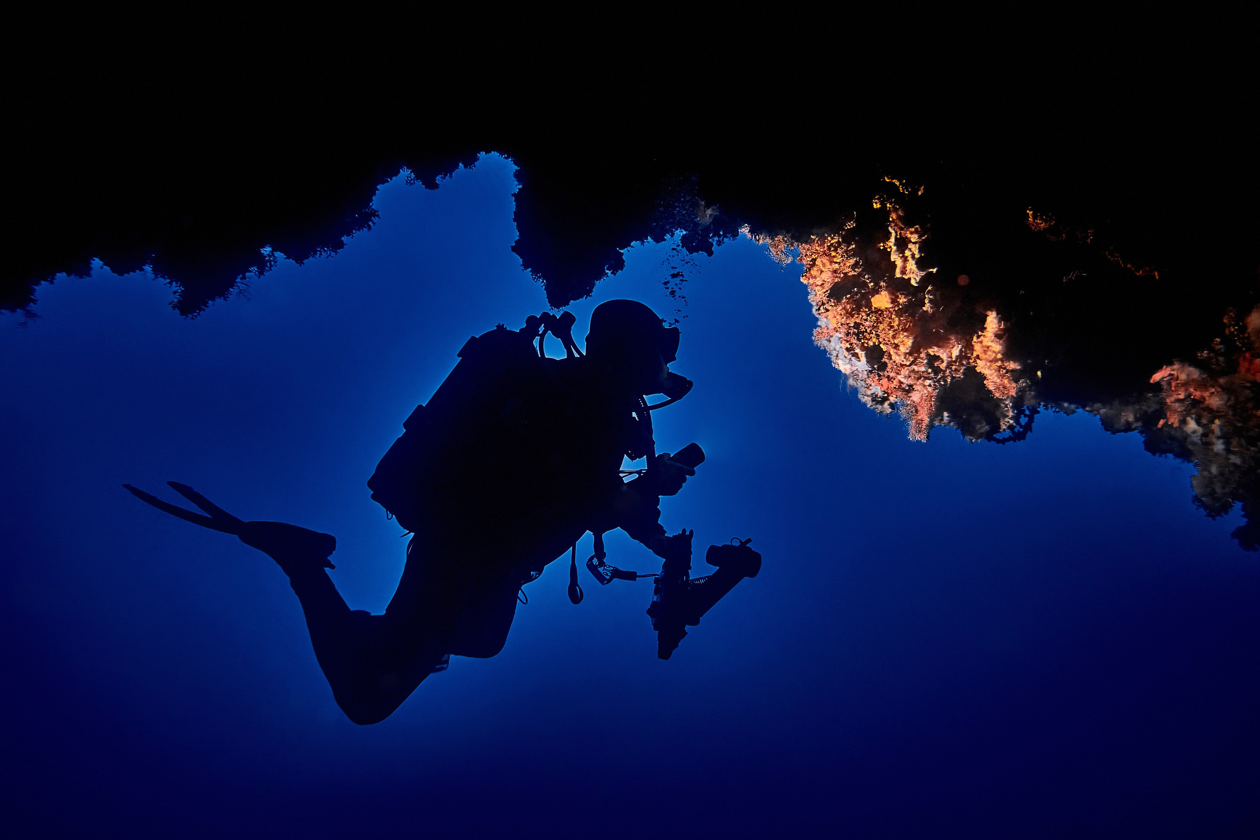 Portrety podwodne. Андрей Шипилов — Фотография & Видеография