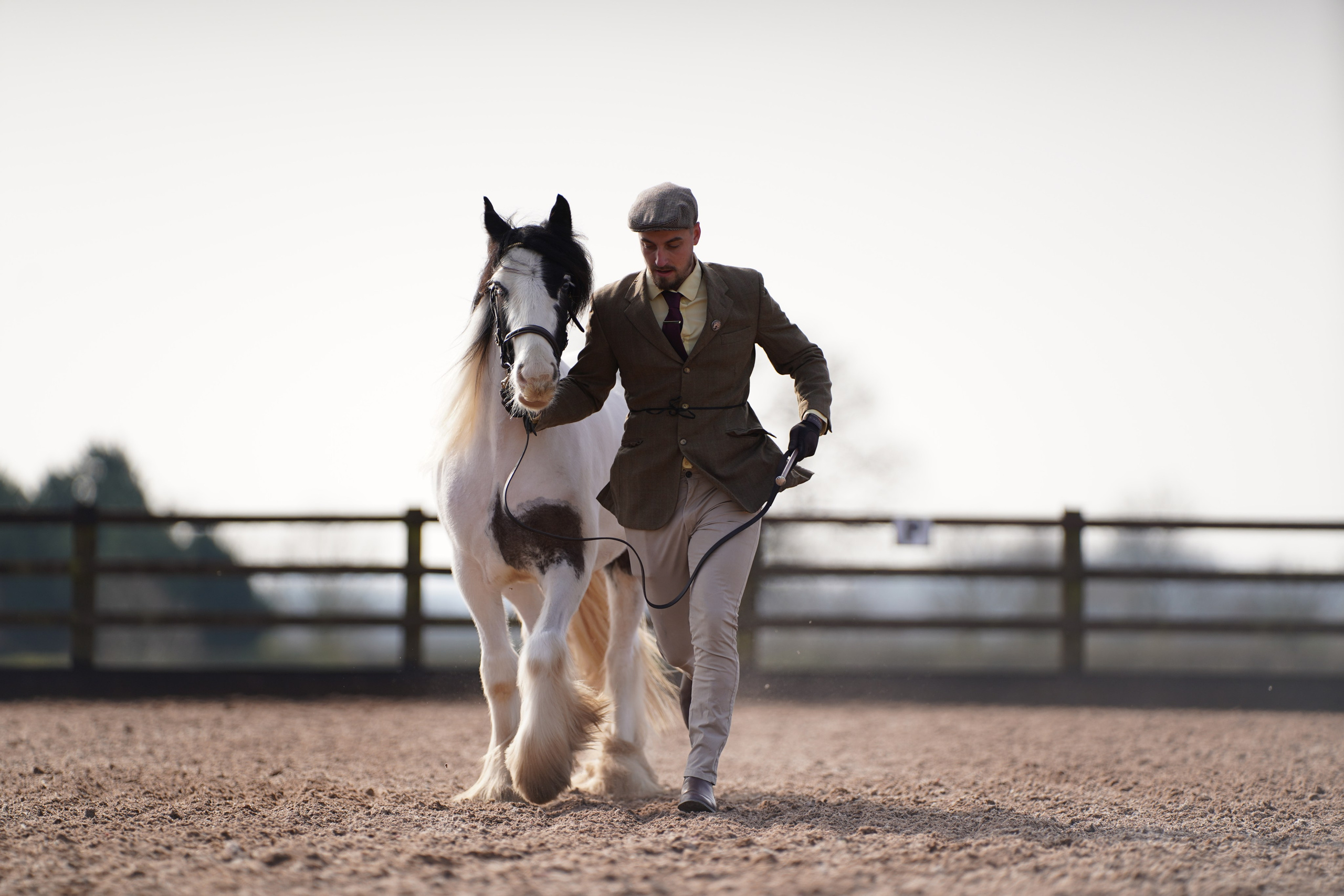 Showing. Leicestershire Equine Photography by El | Authentic Equine Portraits & Events